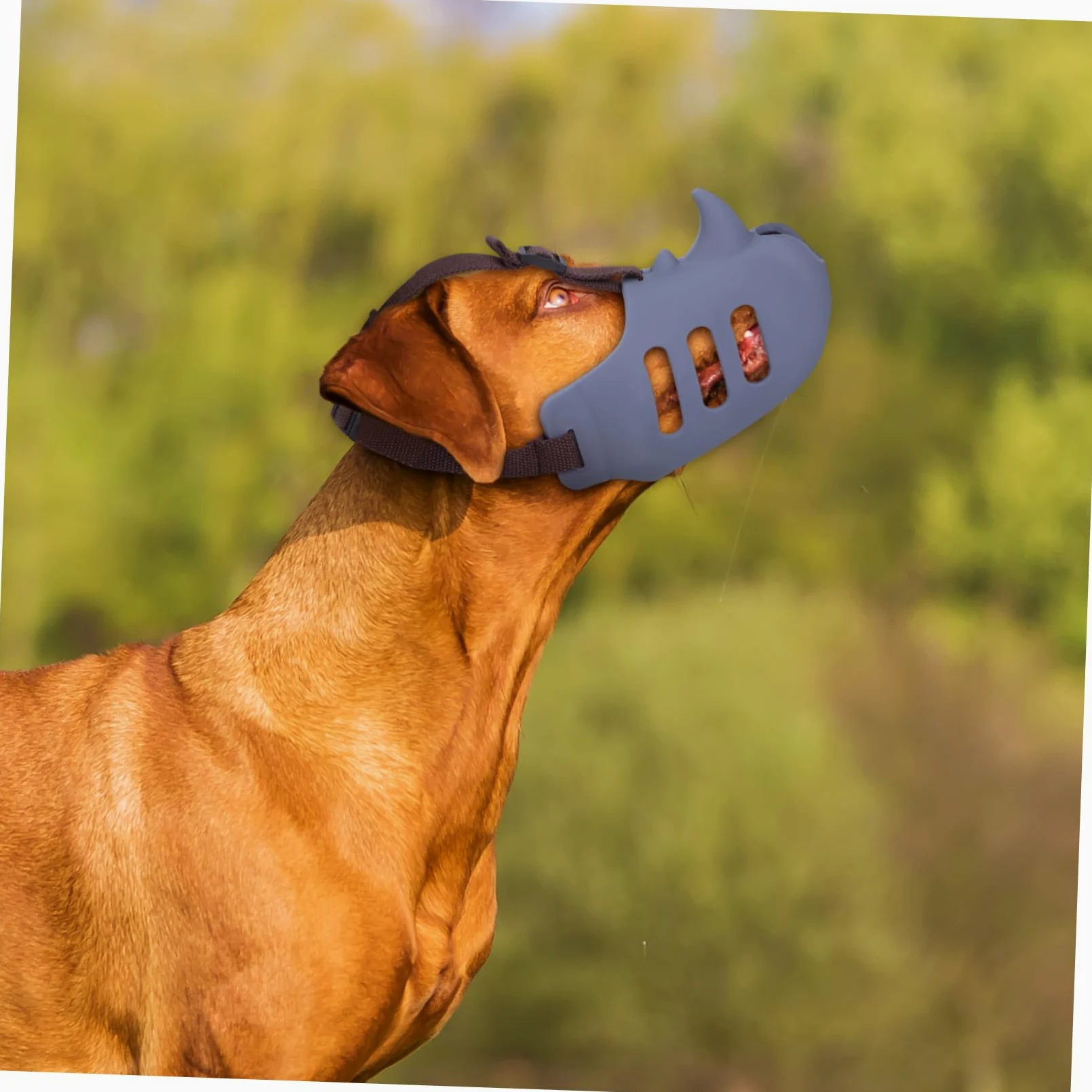 TOYANDONA Museruola Adatta per Evitare Morsi, Abbaio e Ingestione per Cani Regolabile in Silicone Morbido 3 Pezzi Comoda e Sicura per Cani Medi e Piccoli