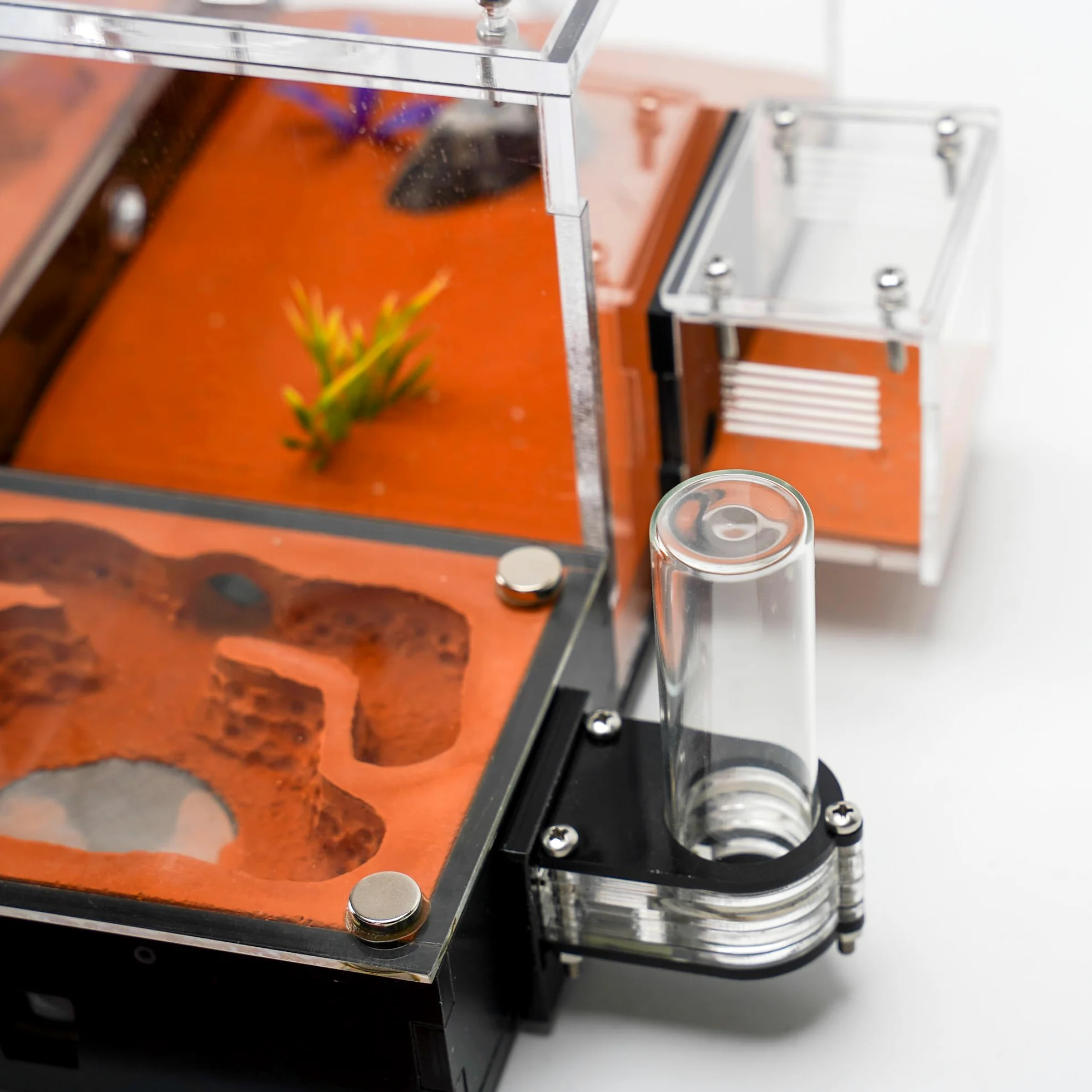 Formicaia ecologica modulare con coperture magnetiche in vetro, controllo umidità, ventilazione e porte di espansione, perfetto per gli appassionati di formiche (27,0 x 25,0 x 13,0 cm)
