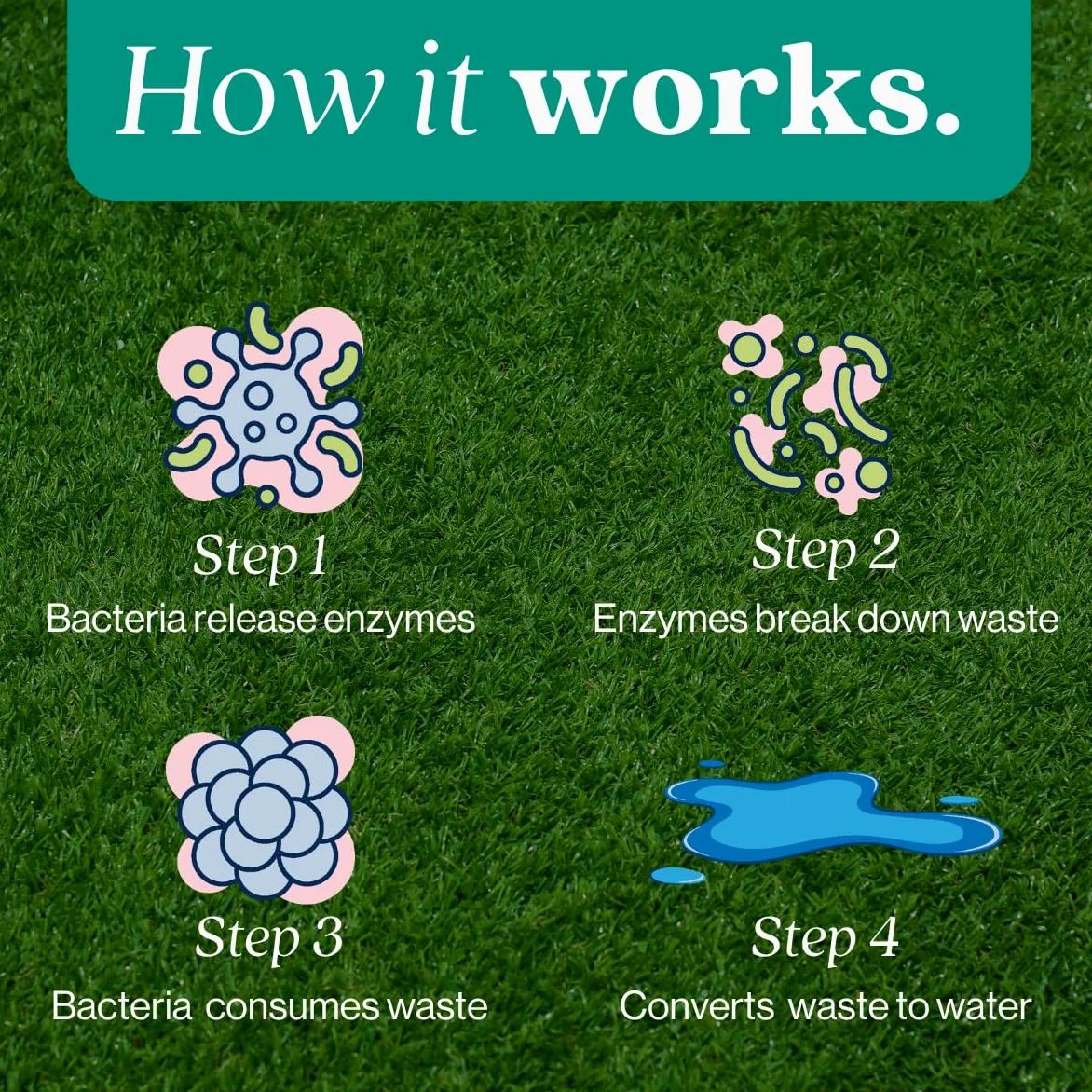 Eco Strong Eliminatore di odori per esterni per cani e urine, potente deodorante per animali domestici, gatti, animali domestici, resistenza professionale per cortile, tappeto erboso, canili, patii