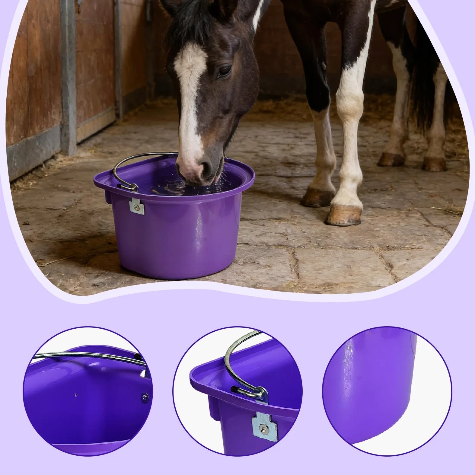 Mangiatoia per Cavalli, Secchio per Mangime, Contenitore per Mangime, Secchio per Acqua, Materiale Metallico PP Resistente all'Usura, Facile da Pu