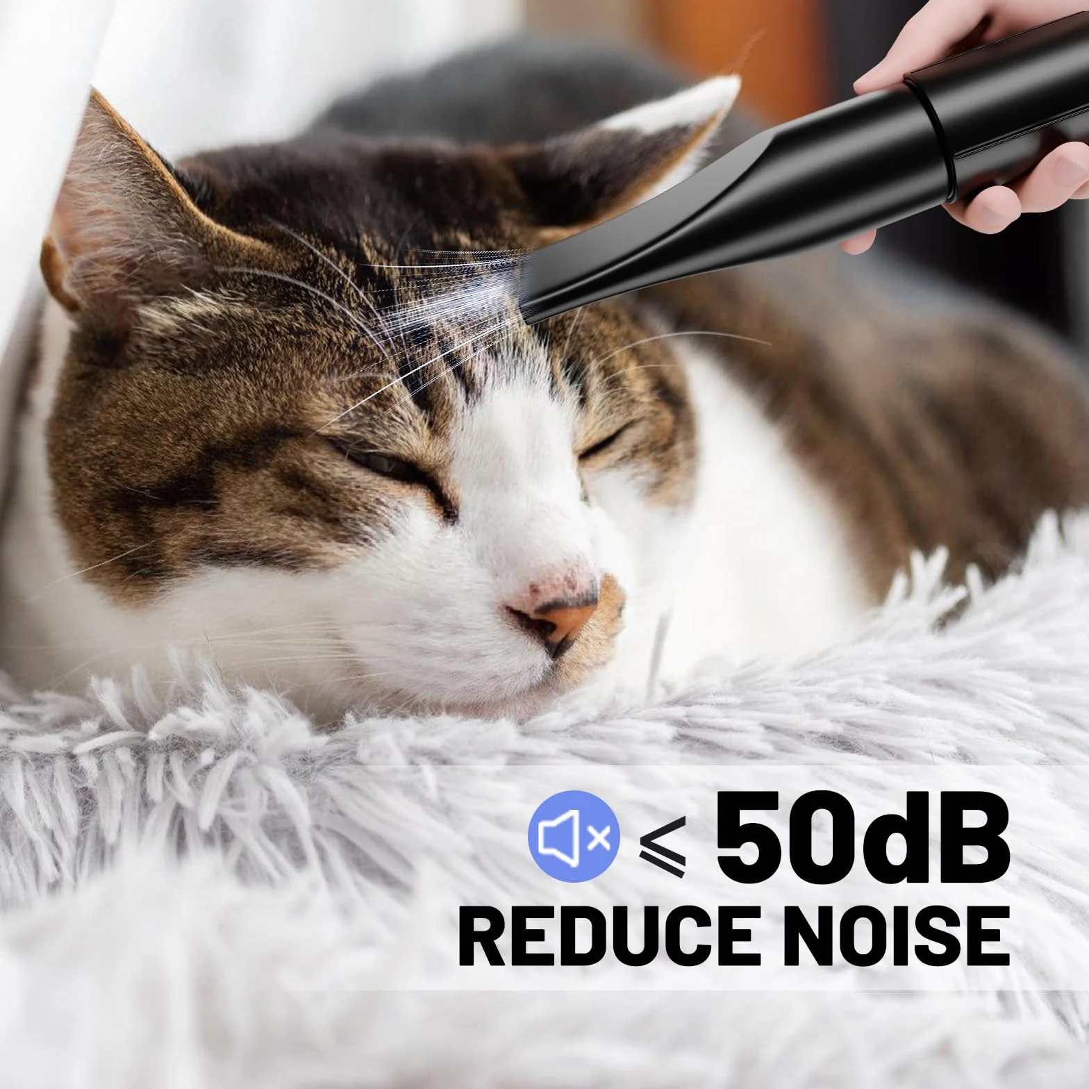 Soffiatore per Cani Blower Molto Silenzioso, 5,2 CV/3800 W, Velocità Regolabile, Ventilatore per la Cura Del Cane con 4 Diversi Ugelli, Tubo Elastico