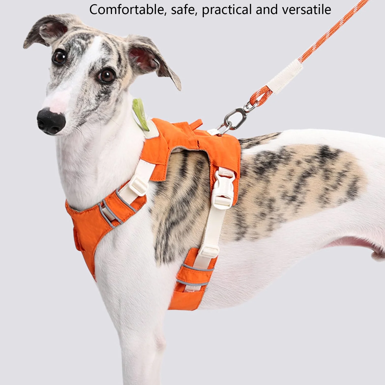 Set di pettorina e guinzaglio rimovibili per cani, gilet riflettente regolabile con comoda corda in nylon per la sicurezza quando si cammina all'aperto, semplice cane con equipaggiamento rimovibile