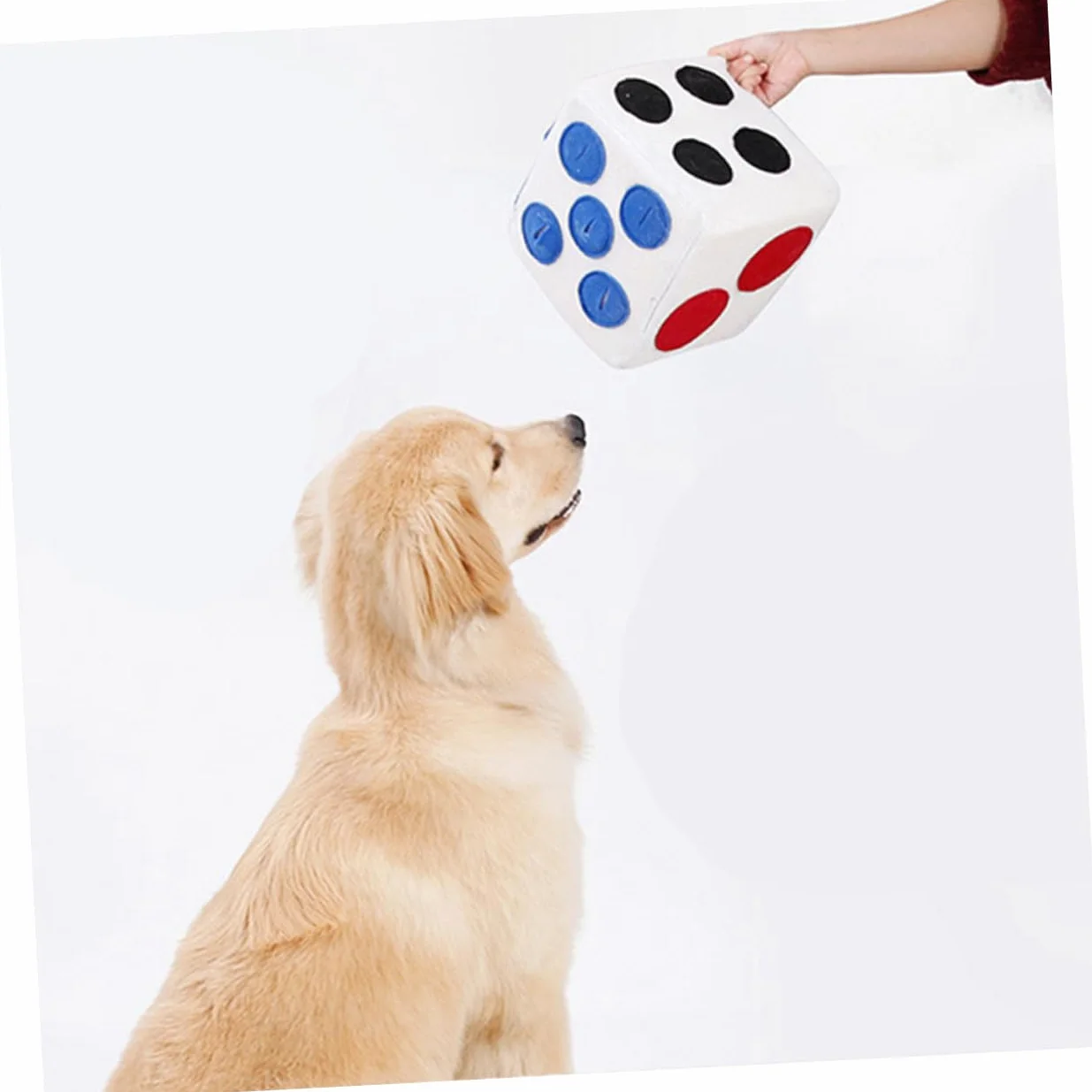 Giocattolo Facile da Pulire a Forma di Dado per Cani in Peluche Bianco e Gioco Interattivo Morbido e Creativo per L'addestramento in Casa