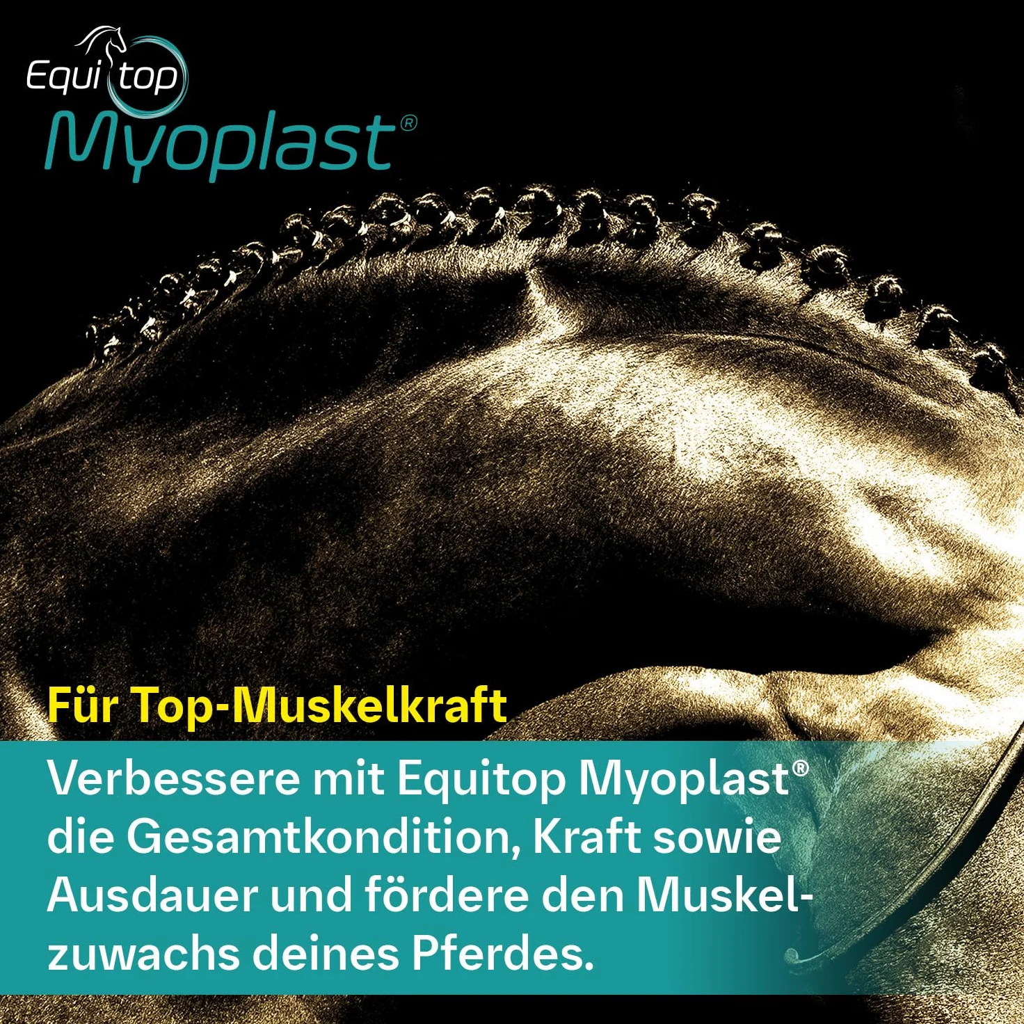 EQUITOP Myoplast