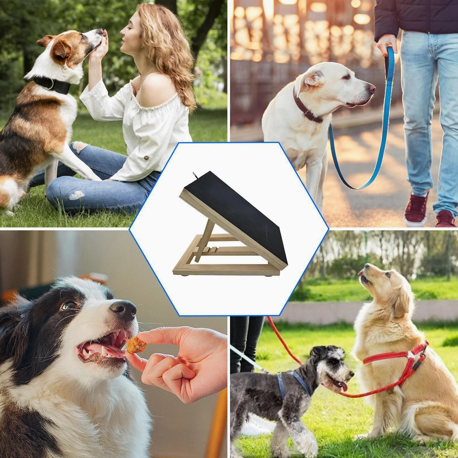 Tavola per Limare Unghie Cane con Cassetta per Snack Interattivo | Cuscinetto Antigraffio con per Cani Piccoli Grandi Protezione Divano Addestramento Balcone