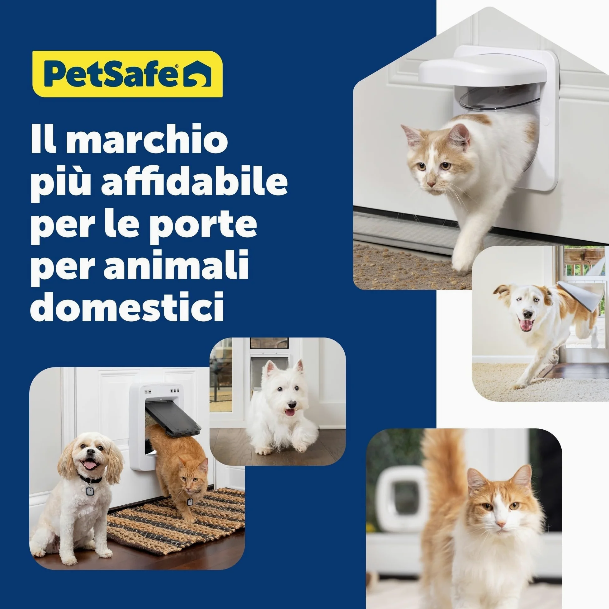 PetSafe Petporte Smart Flap - Gattaiola con Microchip per Gatti, Porticina per Gatti Entrata Uscita, Chiave è il Microchip del tuo Gatto - Bianco