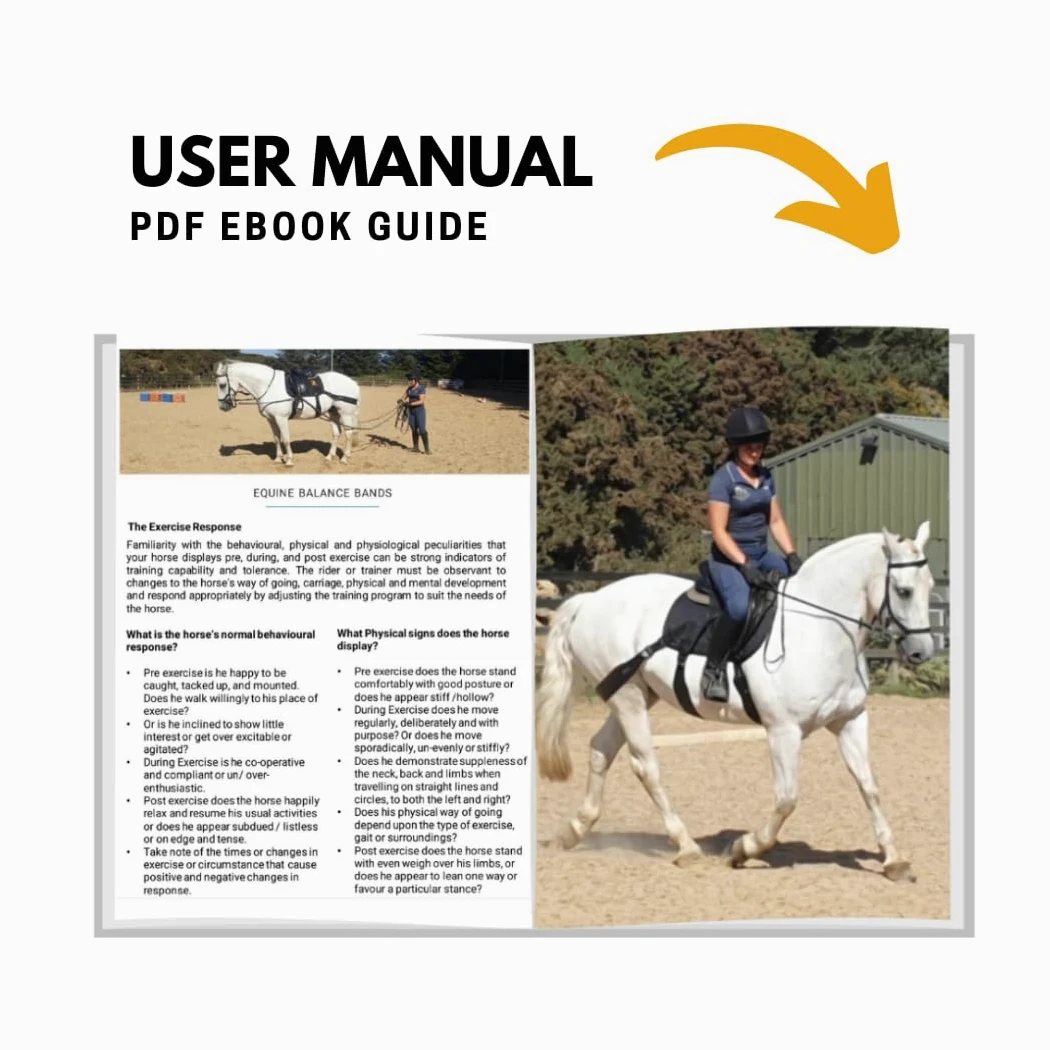 Equine Band System – Dressage Core Conditioner Training Aiuto per cavalli con fasce fisioterapiche professionali e sottosella dressage Equine Balance Bands.