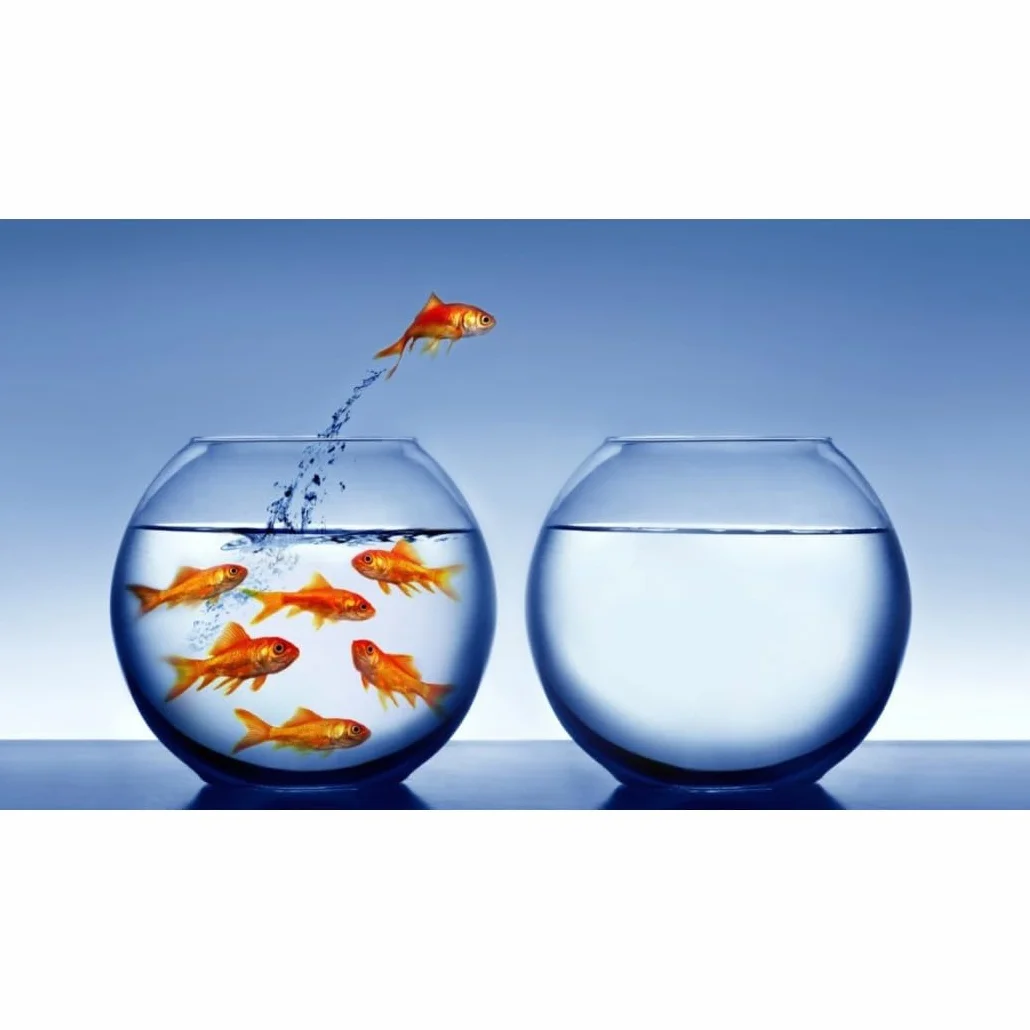 Trade Shop - Ampolla Boccia per Pesci in Vetro 30 Cm Acquario Pesce Rosso Centrotavola