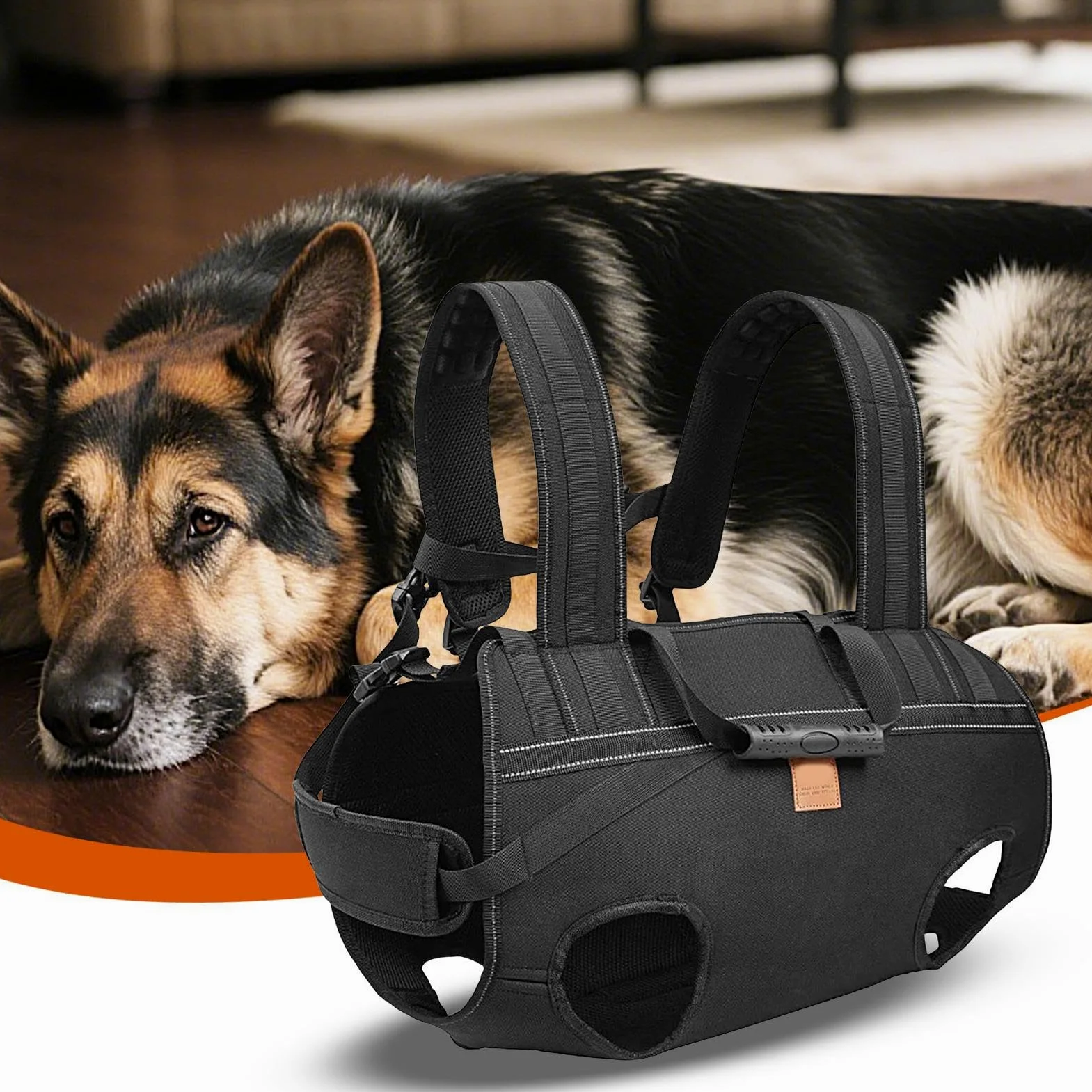 Imbracatura Per Sollevamento Cani Pettorina Regolabile Traspirante | Fascia di Supporto Per Cani Anziani E Razze Grandi, Alla Mobilità, Riabilitazione, Passeggiate Quotidiane,