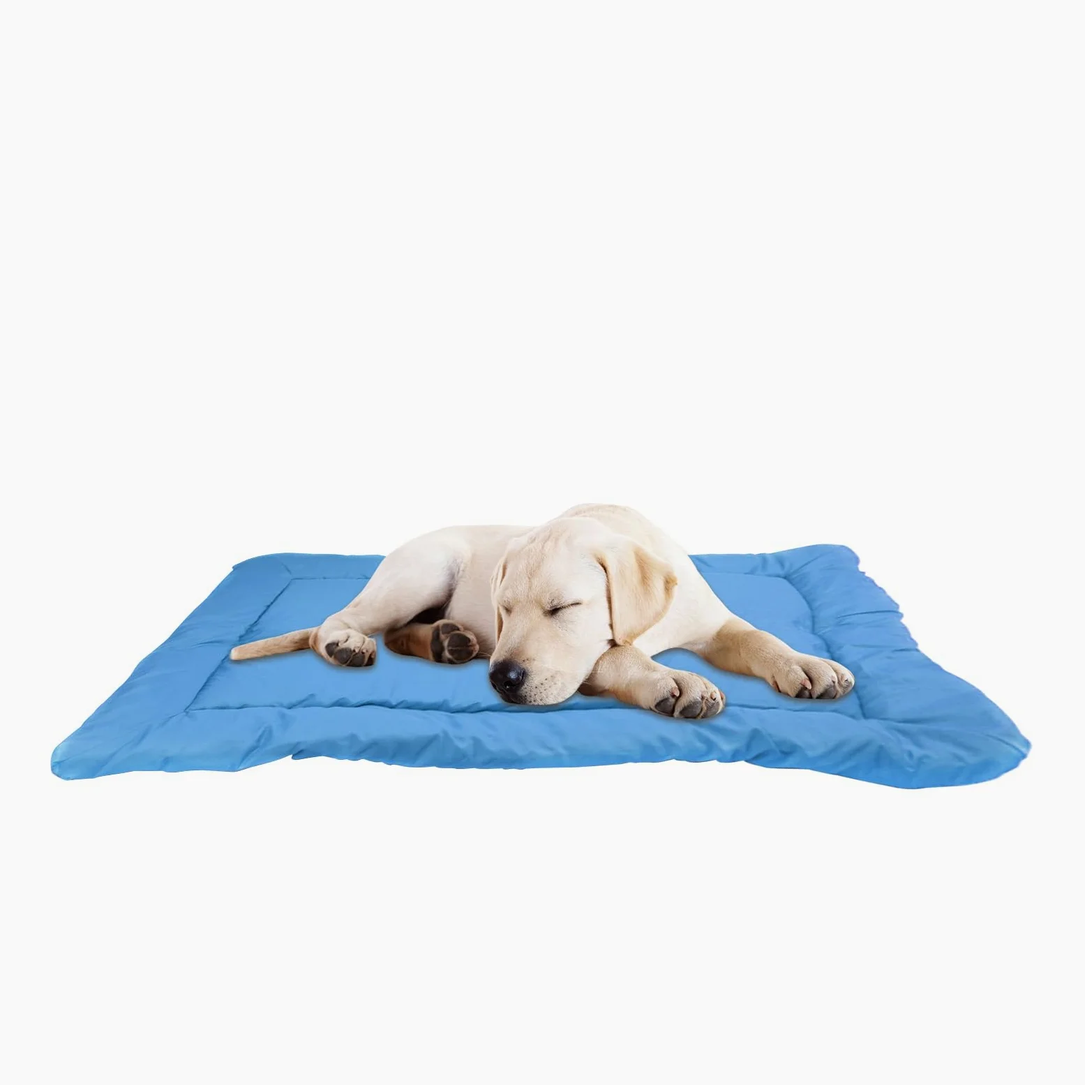 Cuccia Esterna Impermeabile per Cane Per Taglie Piccola, Media, Grande, | Letti Portatili per Cani da Campeggio e Viaggio Articoli Animali da Esterno