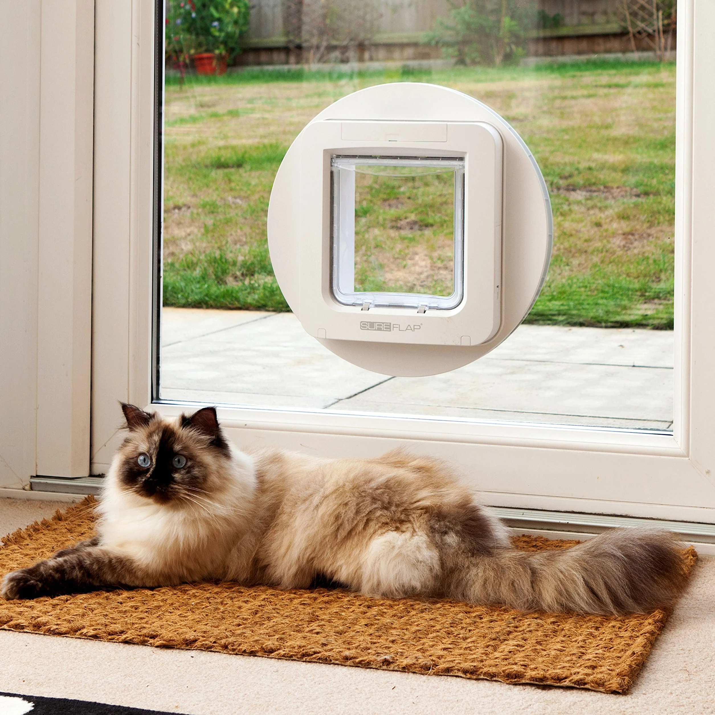 Porta per animali con lettore di microchip SureFlap Sure Petcare per gatti e piccoli cani, comp. Targhetta per collare RFID e microchip, Marrone, rich. 4 batterie cella C (non incl.)