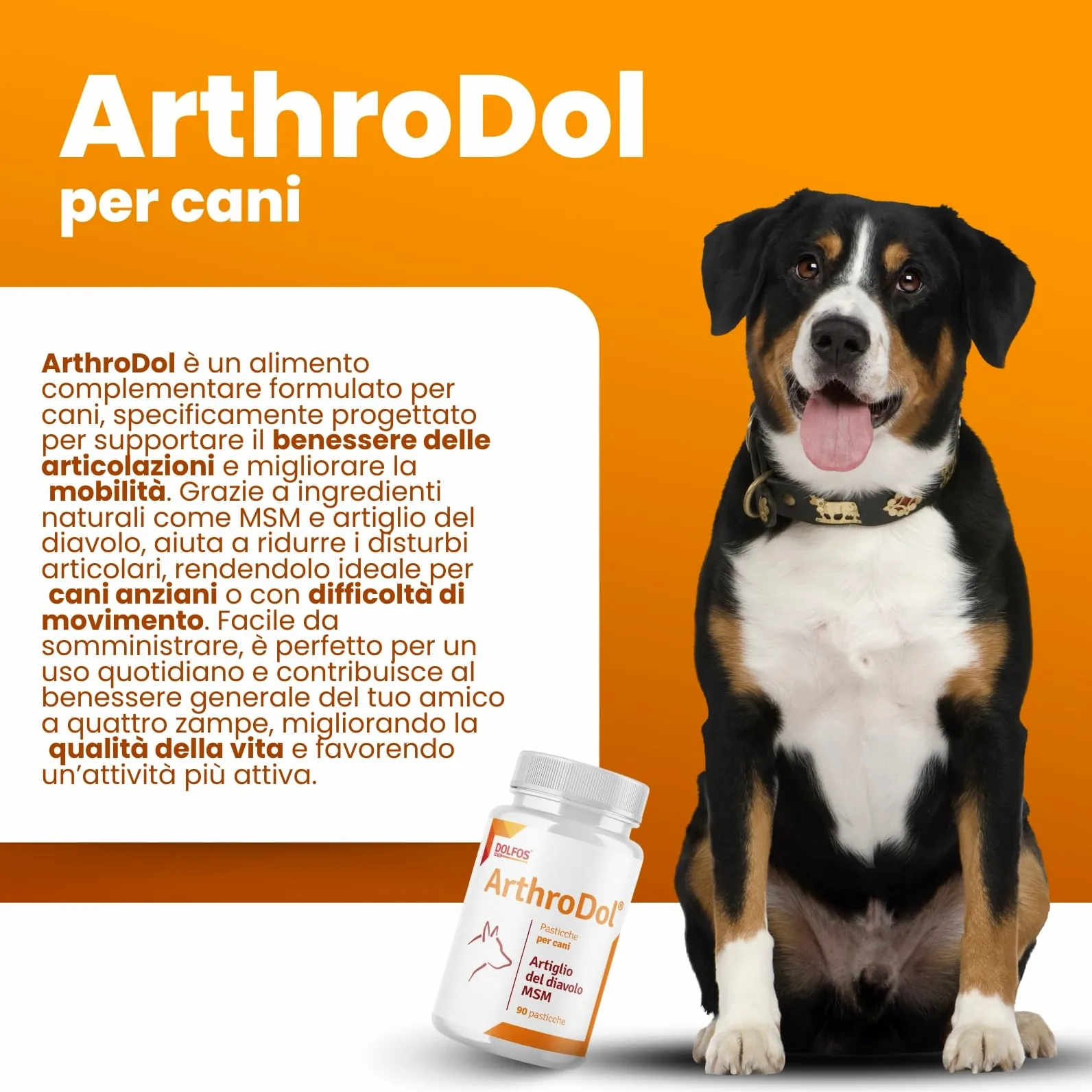 Dolfos Pets ArthroDol Integratore Articolazioni Cane, Antinfiammatorio e Analgesico Favorisce la Mobilità dei Cani Anziani 100% Naturale 90 Compresse