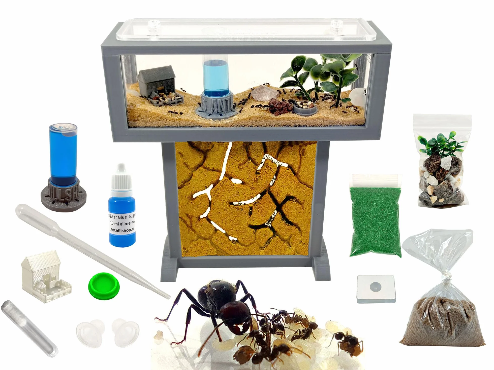 Kit per formiche T- Mini di sabbia naturale, 15 x 5 x 16 cm, formiche gratis incluse┃da 20-30 formiche