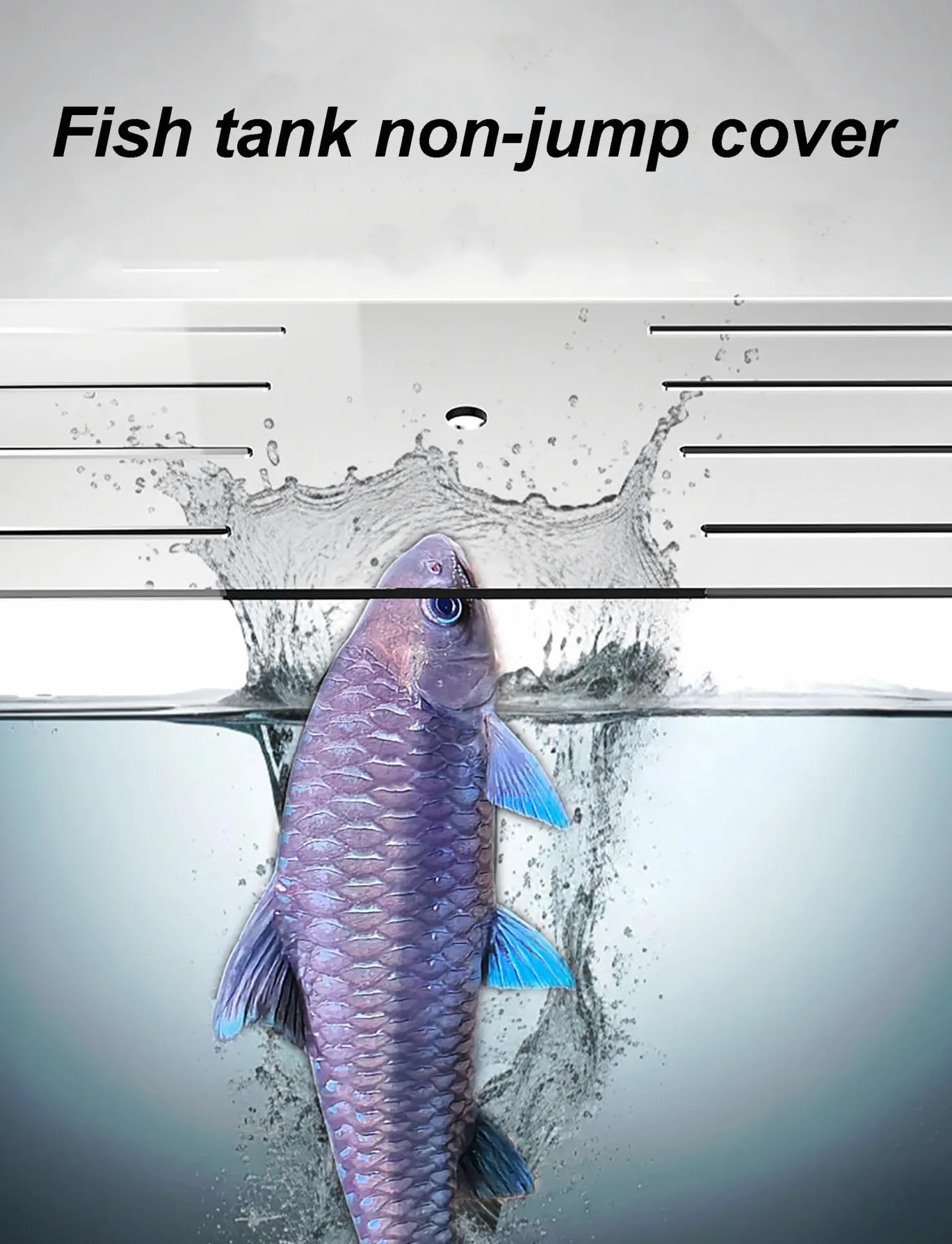 Generico Coperchio for Acquario in Acrilico - Copertura in Rete Anti-Salto, Copertura Superiore Resistente ai Graffi di Gatto, Misure su Misura Disponibili(30x20cm/11.8x7.9in)