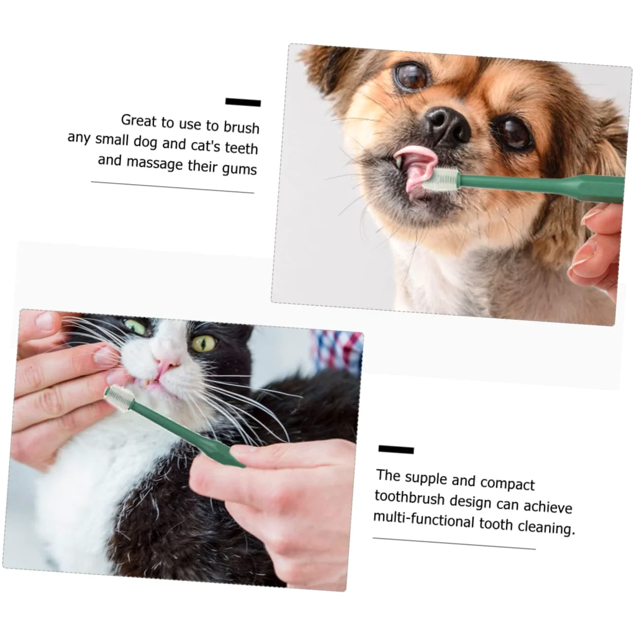 FOMIYES 2 Set Di Spazzolini Da Denti Per Animali Domestici Morbidi Per Gattini Cani Pulizia Dei Denti Manico in Plastica A 360 Gradi 4 Pezzi*2