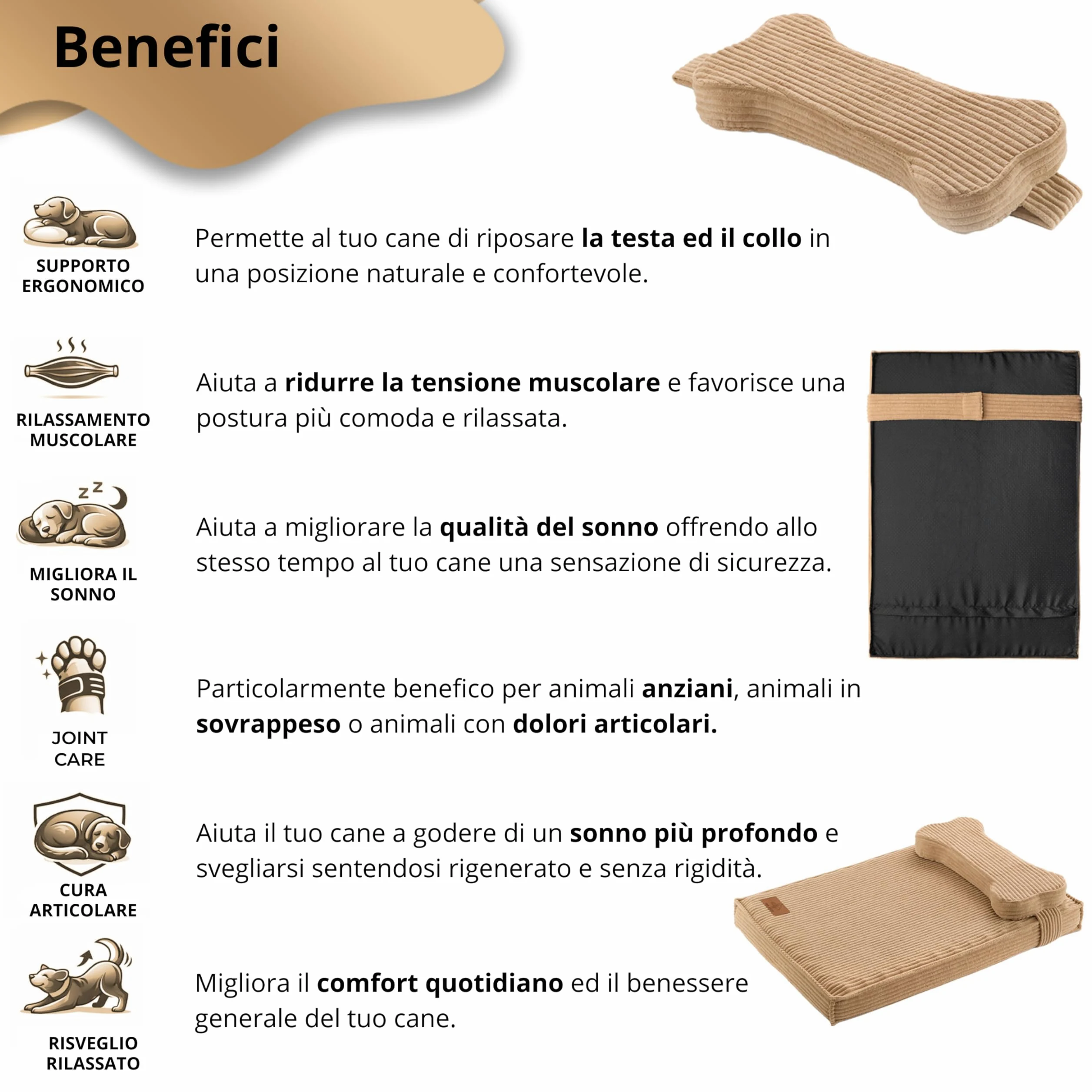 Cuccia Gatto Ortopedica con Cuscino Sfoderabile e Lavabile – Materasso Alta Densità Impermeabile, Base Antiscivolo, Letto Comfort per Gatti Adulti e Anziani, Design Premium (SMALL)