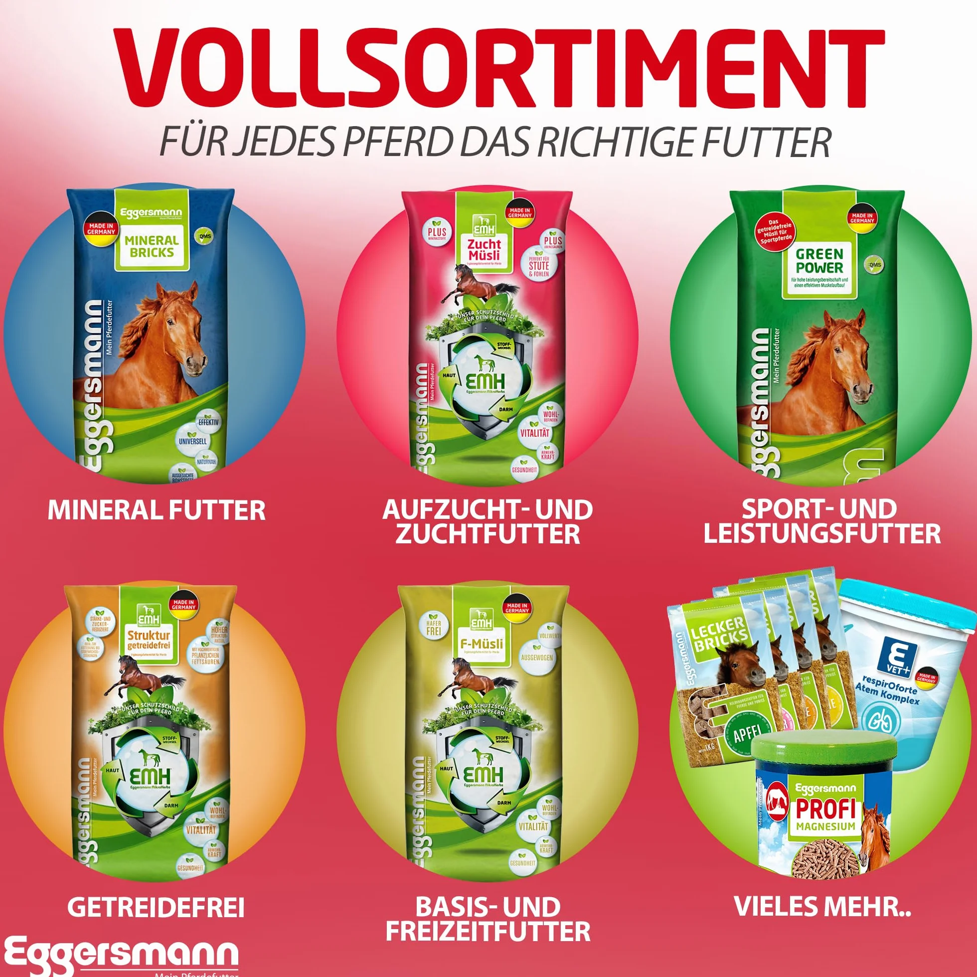 Eggersmann Mein Pferdefutter Aglio Professionale Plus 4 kg – Mangime complementare per Cavalli – Contro Mosche, Freni e zanzare – Supporta Il metabolismo e la Difesa immunitaria