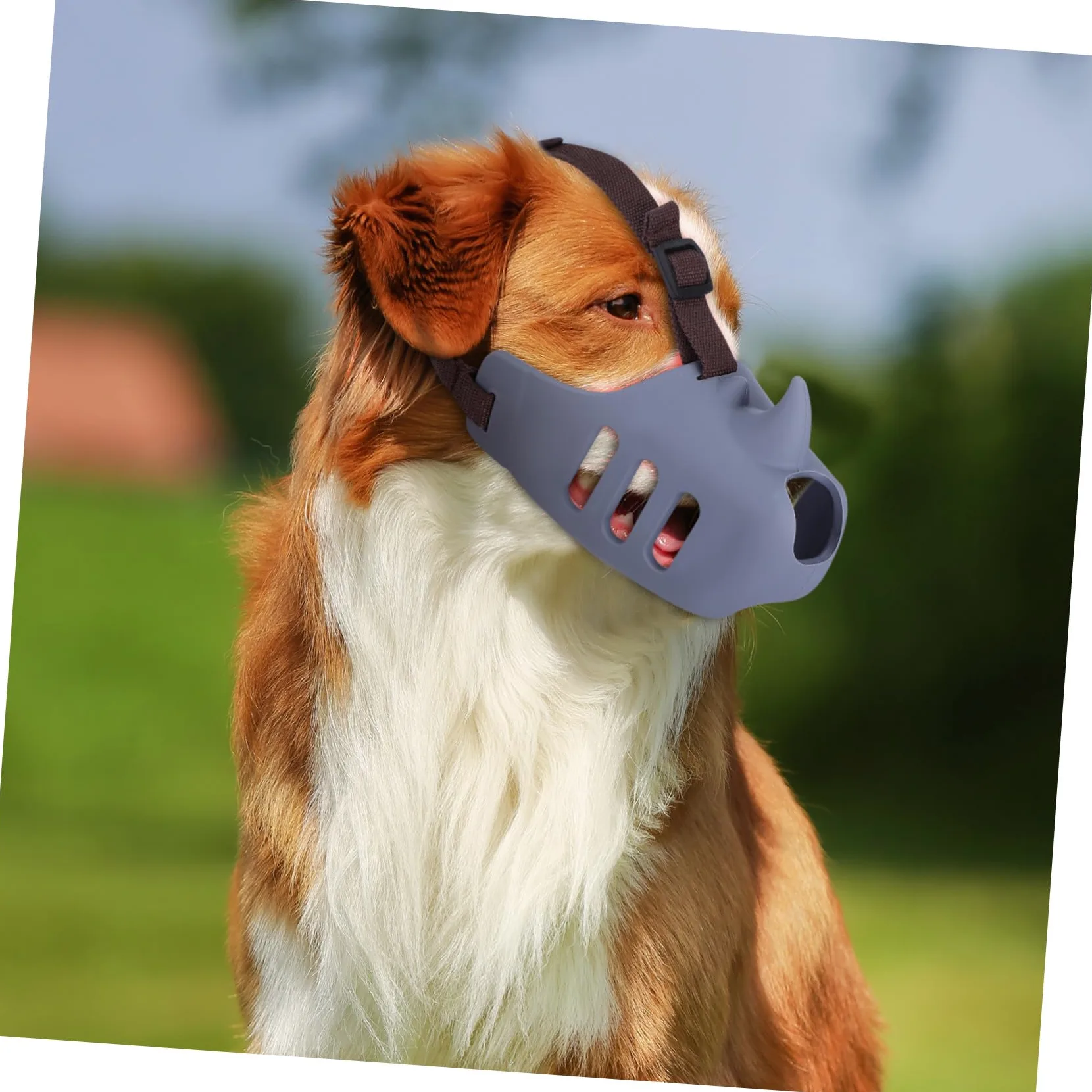 Gatuida 3pezzi Museruola Per Toelettatura Cani Morbida in Silicone Regolabile Per Prevenire Morsi e Proteggere La Bocca Adatta Piccoli Animali e Cani Da Masticare