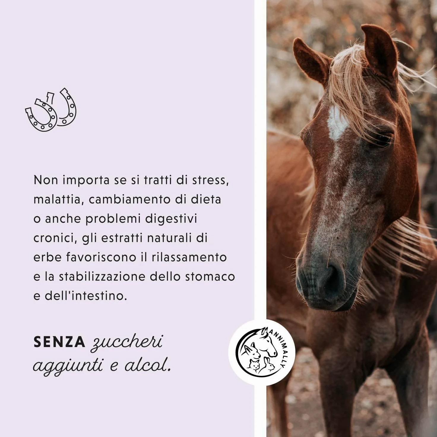 Liquido Gastro Intestinale per cavalli 1000 ml - Gastro Colon Vital per supportare la digestione, ad esempio in caso di diarrea - Erbe naturali per lo stomaco dei cavalli