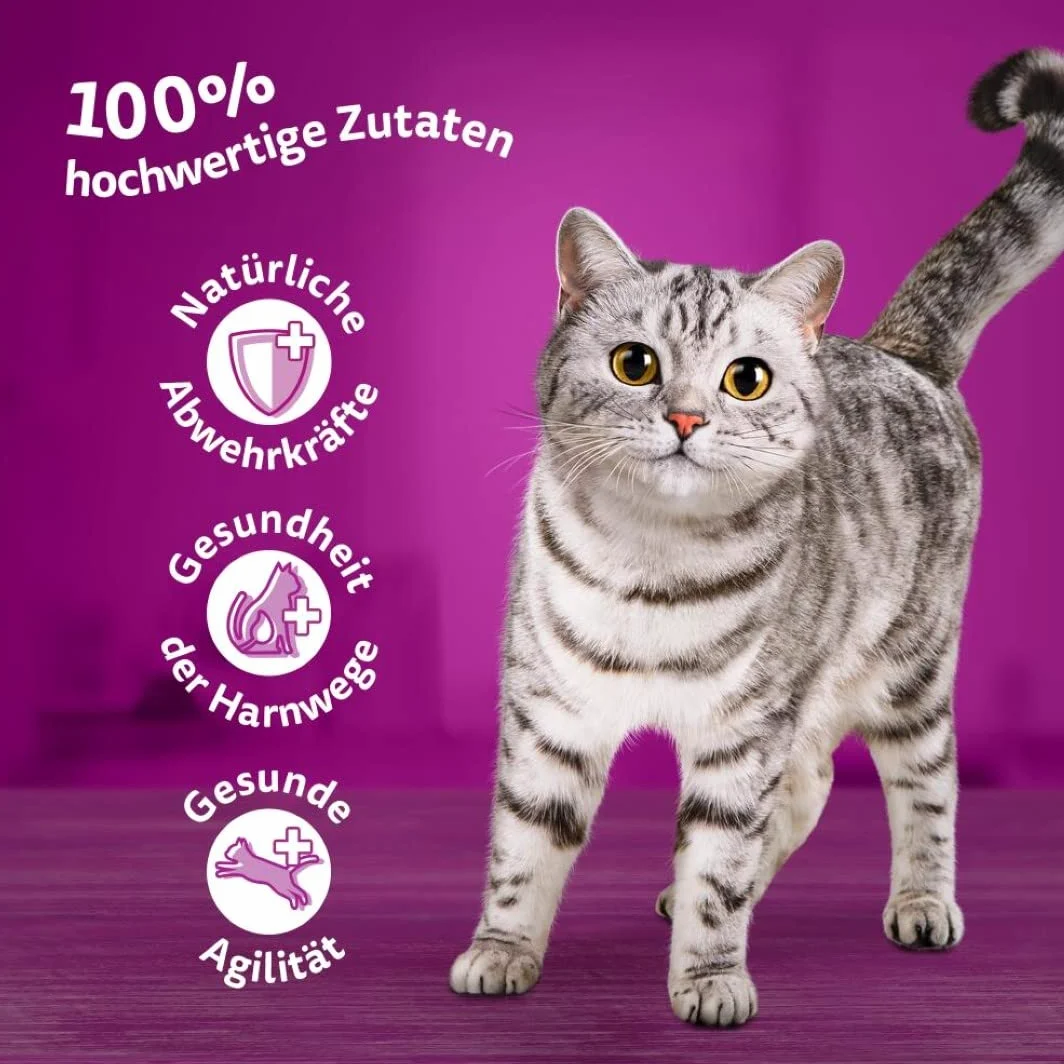 Whiskas 7+ cibo per gatti, pollame a scelta in salsa, 12 x 85 g (4 confezioni) – cibo umido di alta qualità a partire dai 7 anni in 48 sacchetti