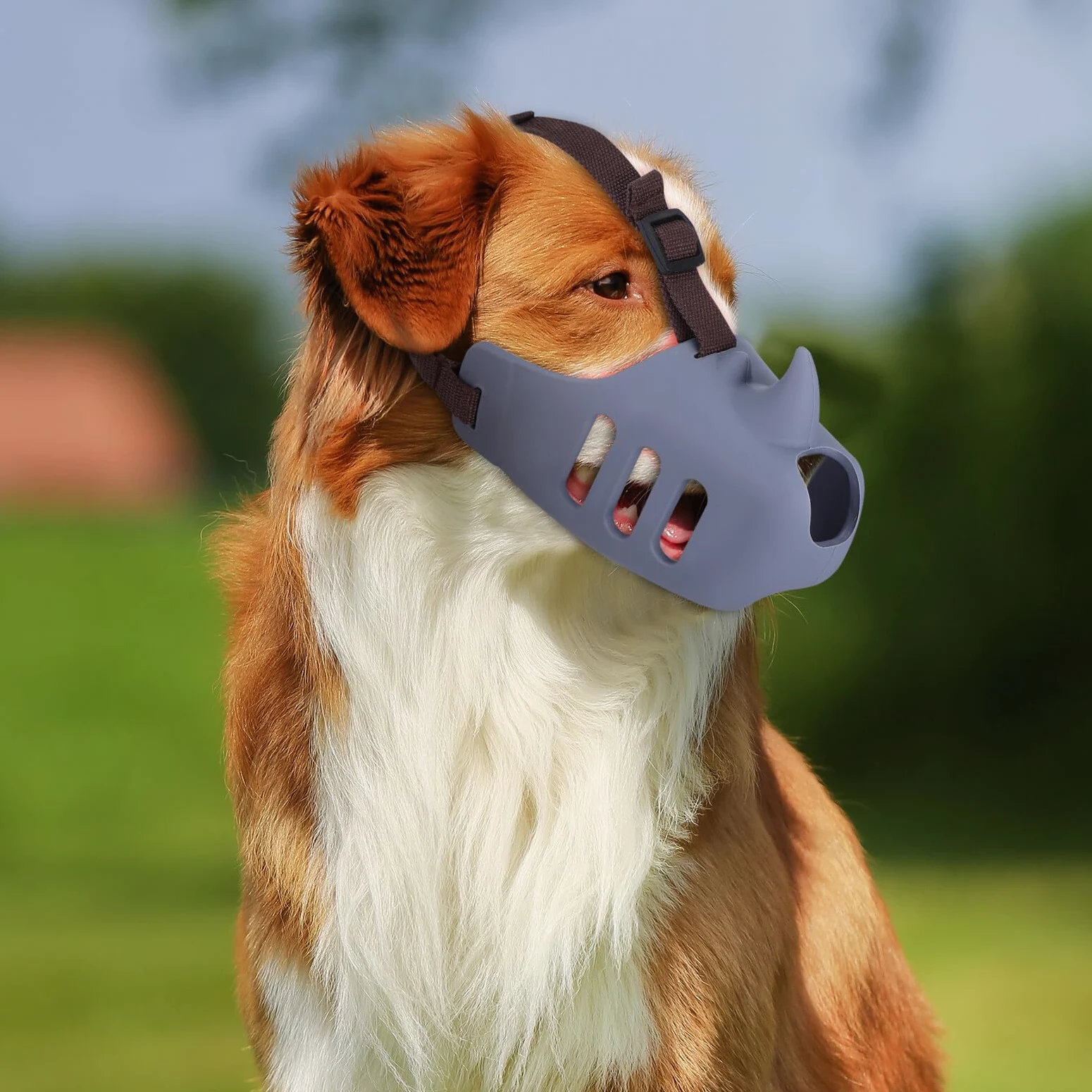 NUOBESTY 3 pezzi Museruola per Cani Regolabile in Silicone Morbido per Controllo Morsi Riduzione Abbaio e Prevenzione Ingestione Traspirante e Confortevole per Cani Piccoli Medi e Grandi