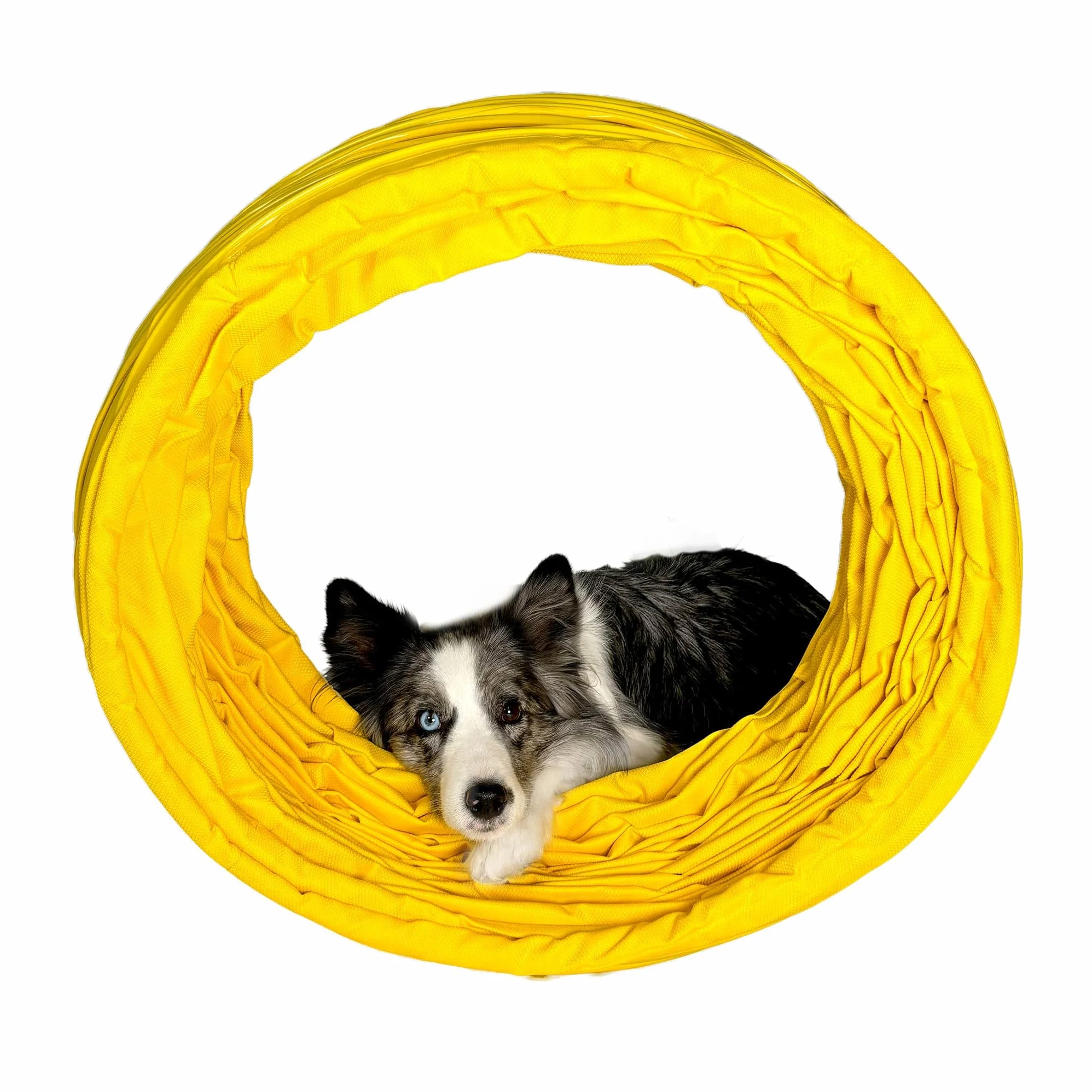 Callieway® 360°Full Grip Tunnel Dog Agility Modello Trophy, 60cmØ, Conforme a FCI (6m, Giallo)