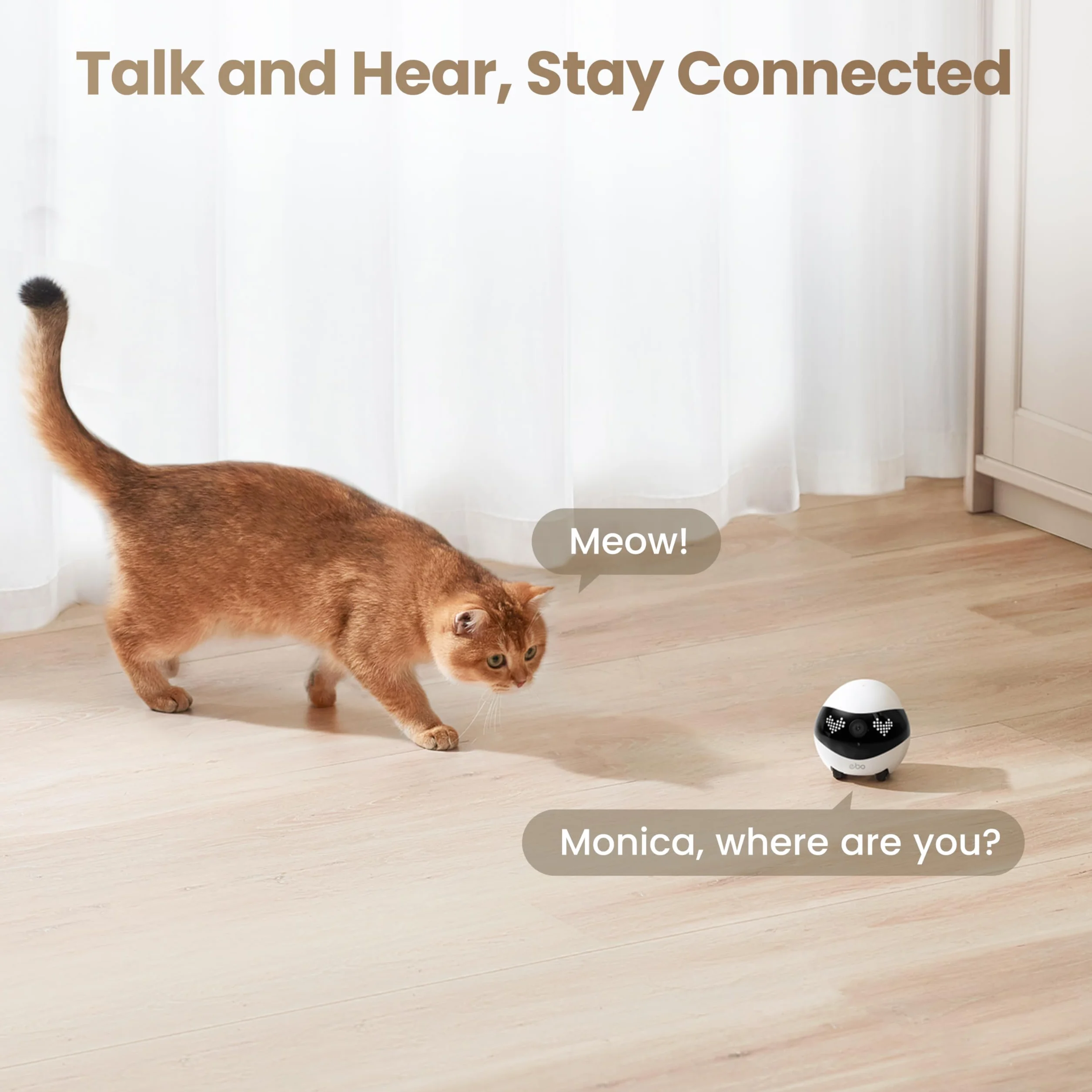 Enabot EBO Air 2 FamilyBot, telecamera per animali domestici con app, fotocamera mobile 2 K con espressioni facciali personalizzabili, telecamera per gatti senza fili con visione notturna, fotocamera