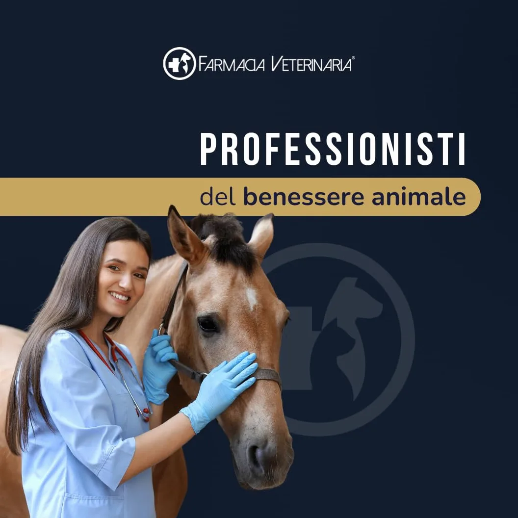 Equiforza Total Integratore in Polvere per Cavalli con BCAA, L-Carnitina, Gamma Orizanolo e Spirulina, Sviluppo Muscolare, Energia e Recupero, 1,5 kg