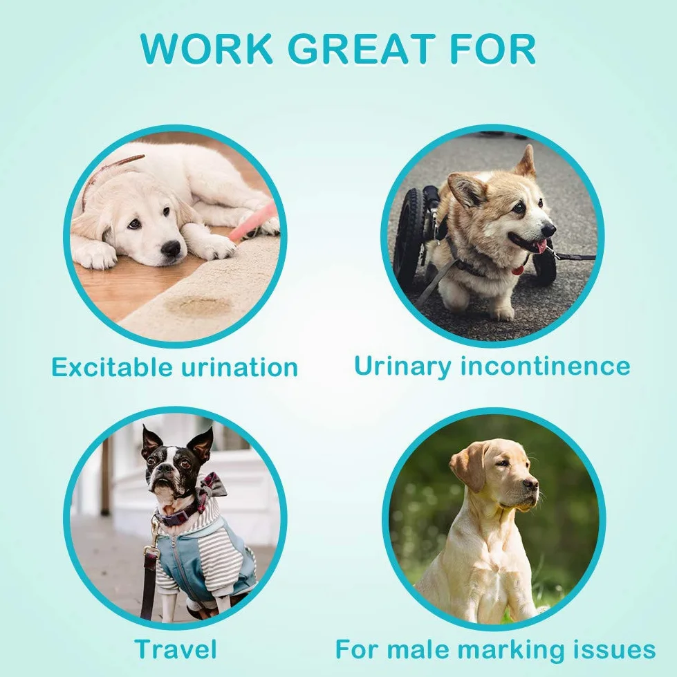 Pannolini usa e getta per cani Involucri maschili - Pannolini morbidi super assorbenti per cani maschi per problemi di marcatura di cani maschi, incontinenza urinaria