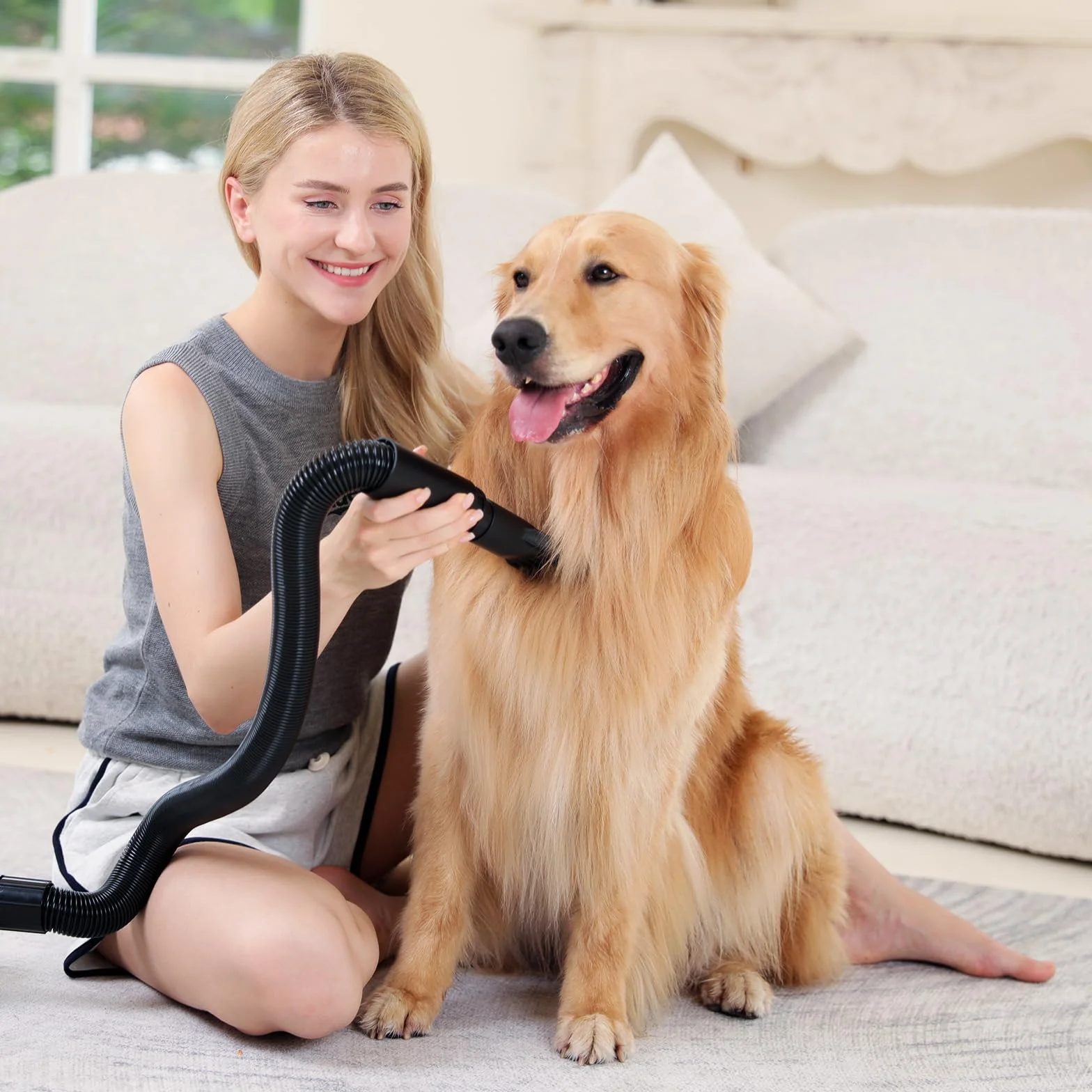 Soffiatore per Cani Blower Molto Silenzioso, 5,2 CV/3800 W, Velocità Regolabile, Ventilatore per la Cura Del Cane con 4 Diversi Ugelli, Tubo Elastico