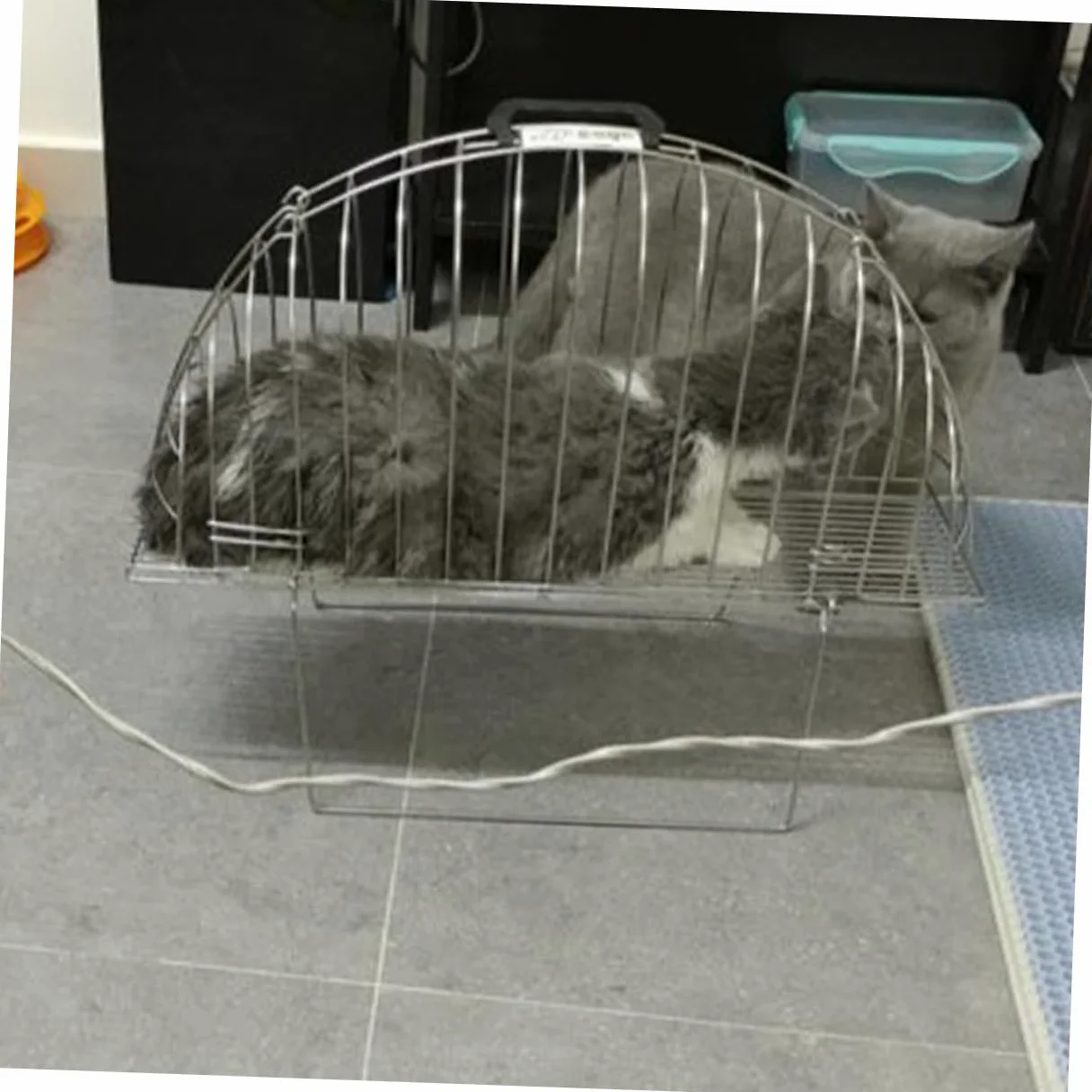 minkissy Gabbia per Doccia per Gatti in Metallo Argento, Compatta e Facile da Trasportare, con Spazzola Inclusa per Bagno e Pulizia Domestica di Animali