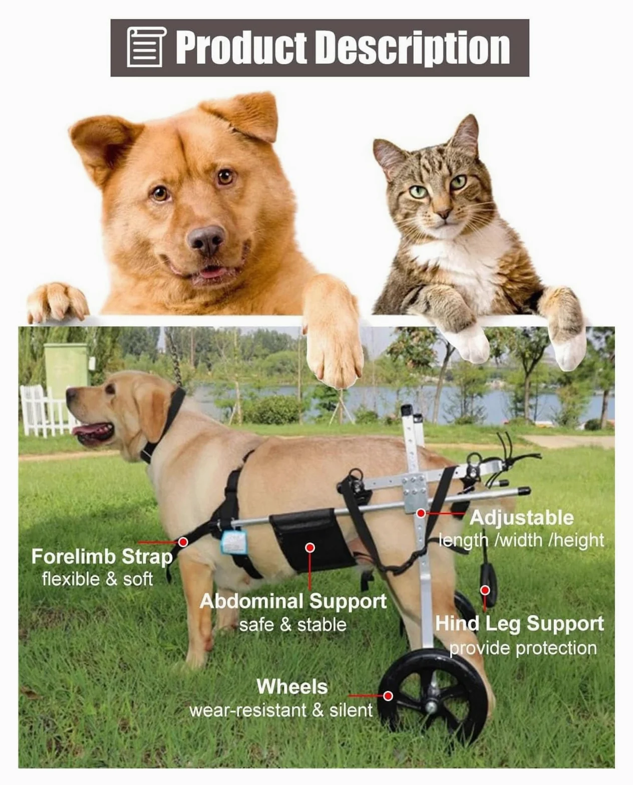 Carrello Cani Disabili, Sedia a rotelle per Cani, Deambulatore assistito a 2 Ruote for Arti Posteriori paralizzati, Carrello for la Mobilità in Alluminio(Size XXXL)