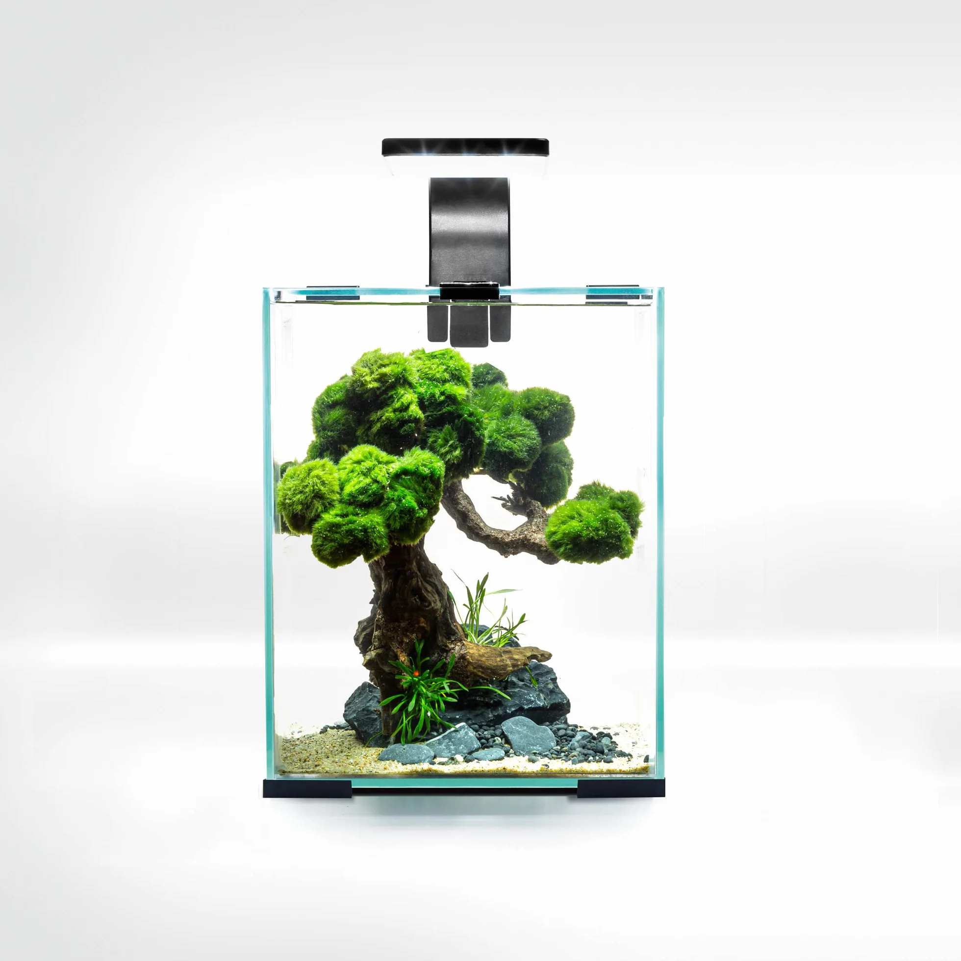 Aquael Shrimp Set SMART D&N 10 nero ECOM