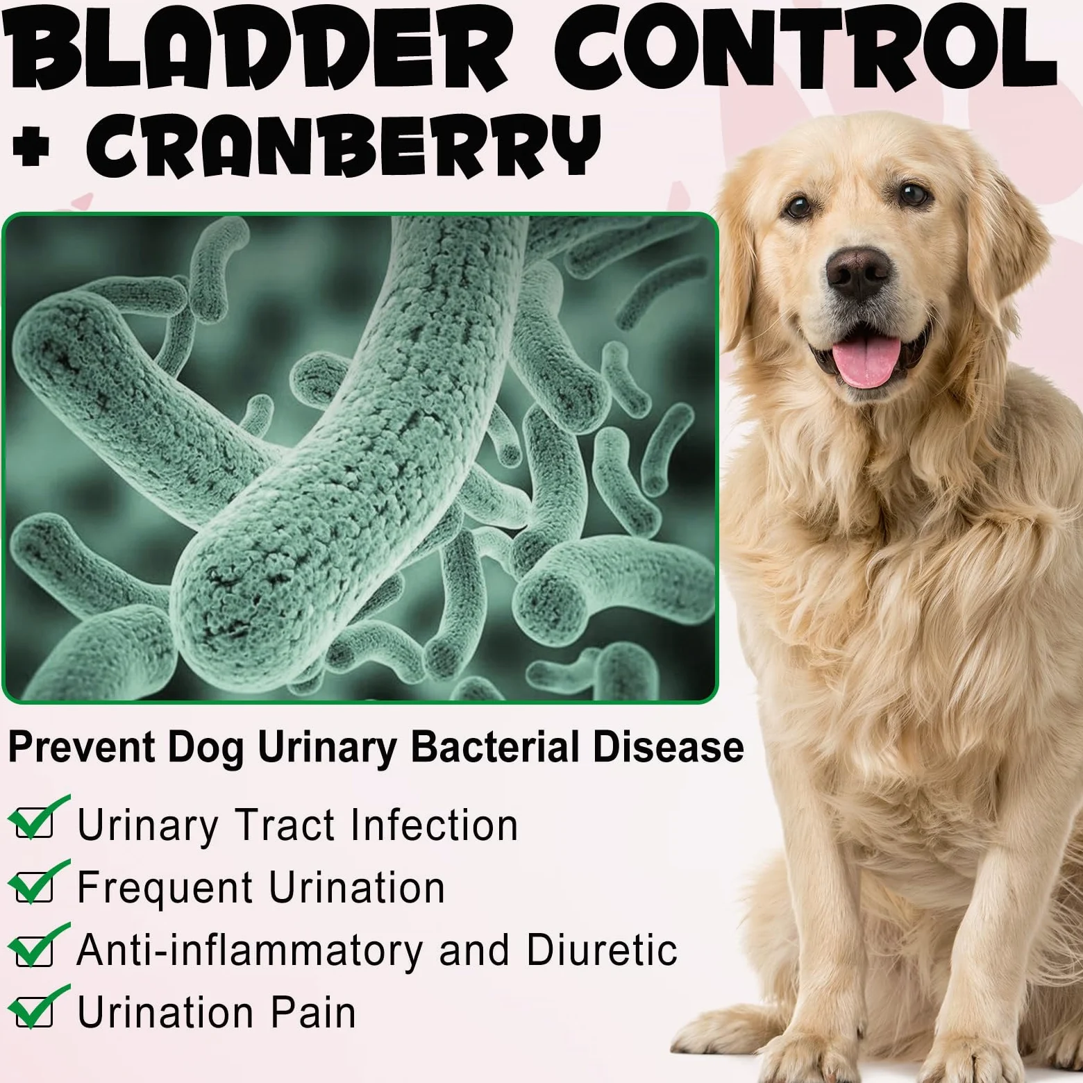 Supporto per vescica e reni per cani, integratore per il trattamento delle vie urinarie e il controllo della vescica, prodotti da masticare morbidi con mirtillo rosso e D-mannosio -60 pezzi