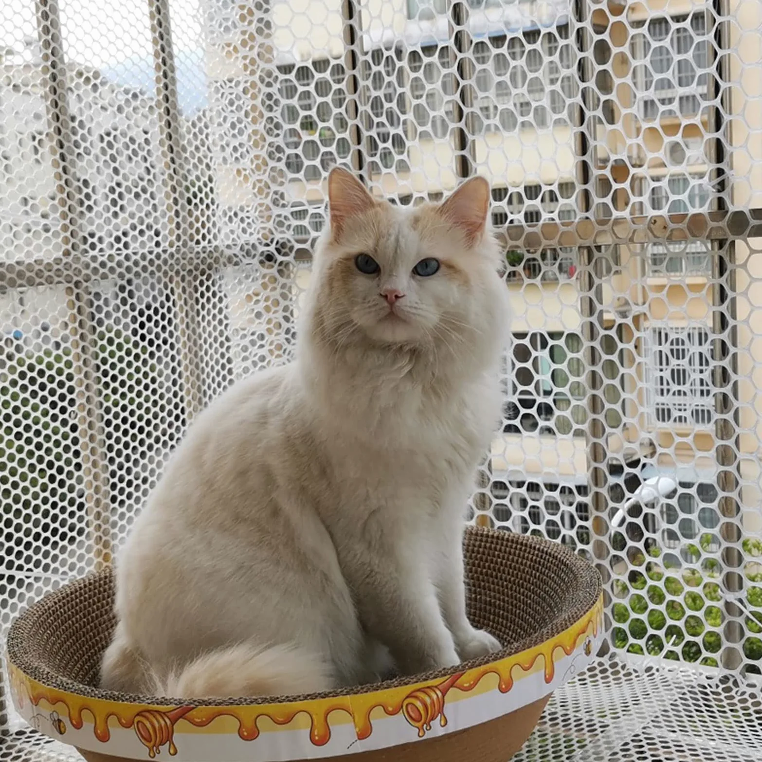 Rete di sicurezza per gatti per balconi e finestre, rete di protezione anti-caduta per la sicurezza interna degli animali domestici