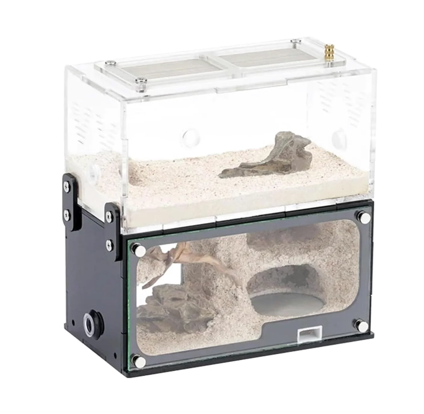 Ant Farm Espansione Formica Nido Idratare Formicarium Box Laboratorio Educativo Acrilico Insetto Villa Formiche Casa Castello