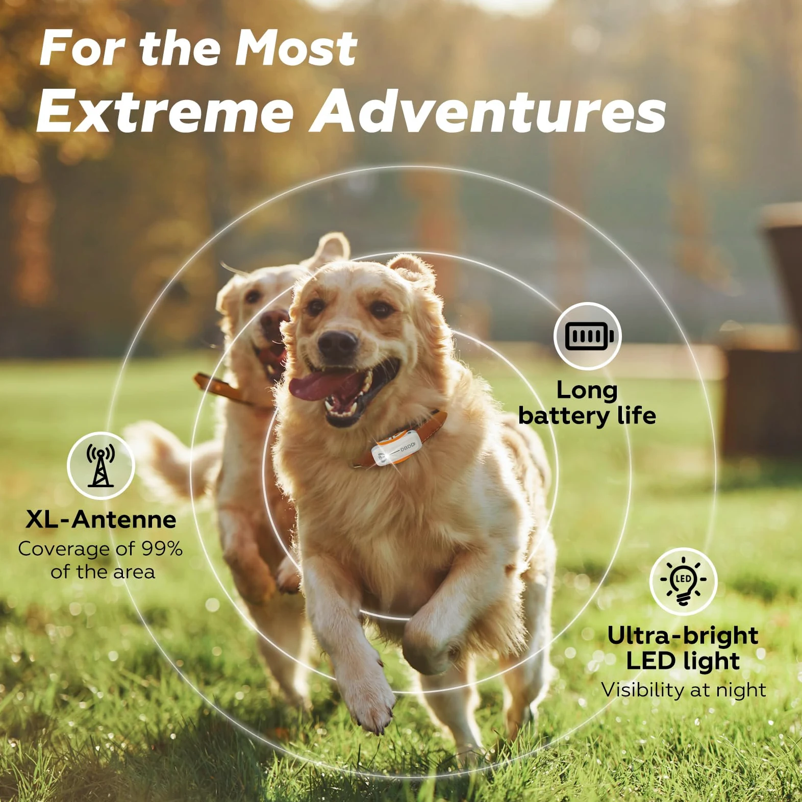 DBDD Smart GPS Dog Collar Tracker con recinto virtuale, monitoraggio live e segni vitali, per cani fino a 18 kg, impermeabile, per cani da 18 kg in su, compatibile con iOS e Android (bianco)