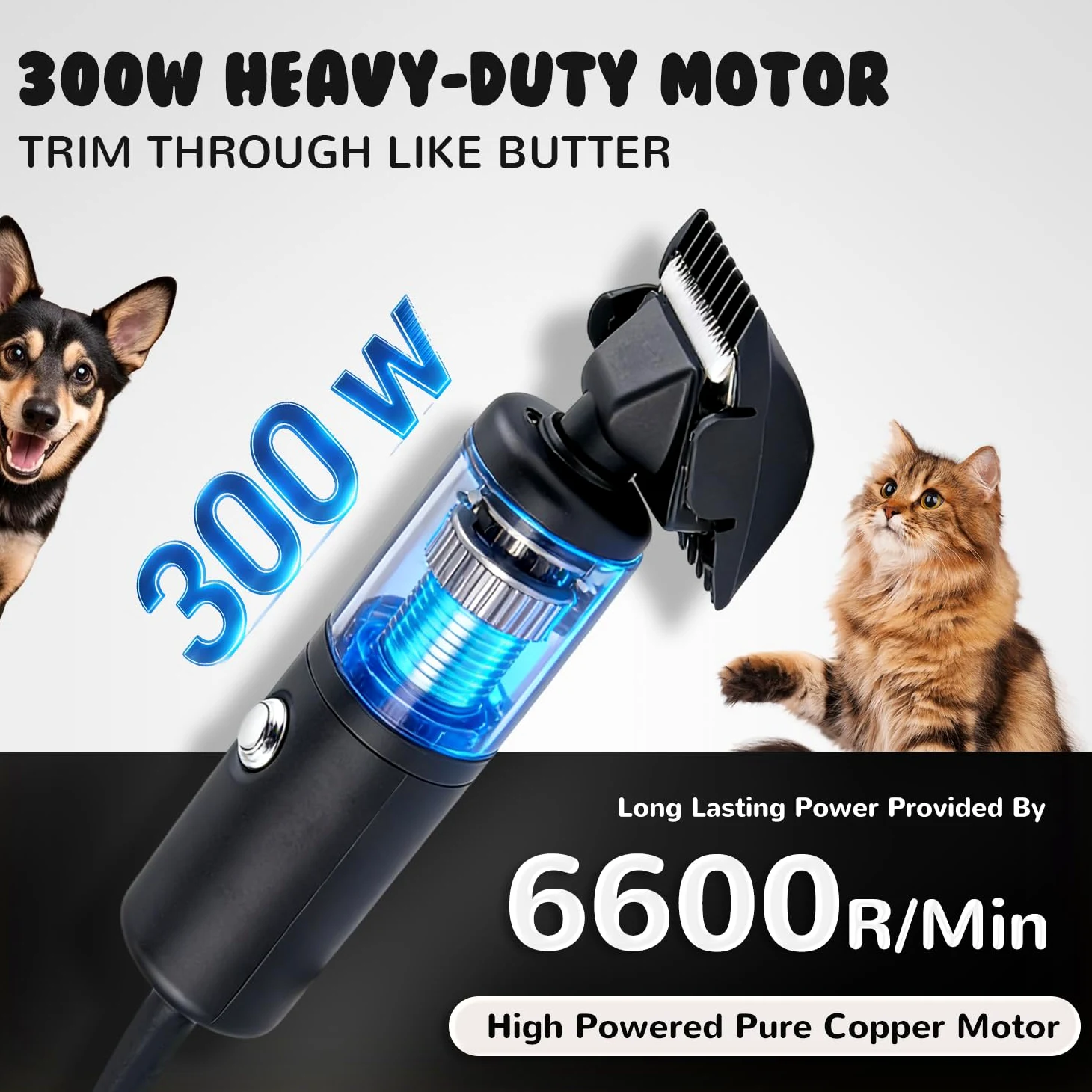 CGOLDENWALL 300W Tosatrice Professionale per Cani, Velocità Senza Passaggi 2000-6000RPM, <50dB Rumore Basso, Cavo 3m, 2 Lame Rimovibili, 2 Pettini (3/6mm,9/12mm) per Cane, Gatto & Tutti i Peli (Nero)