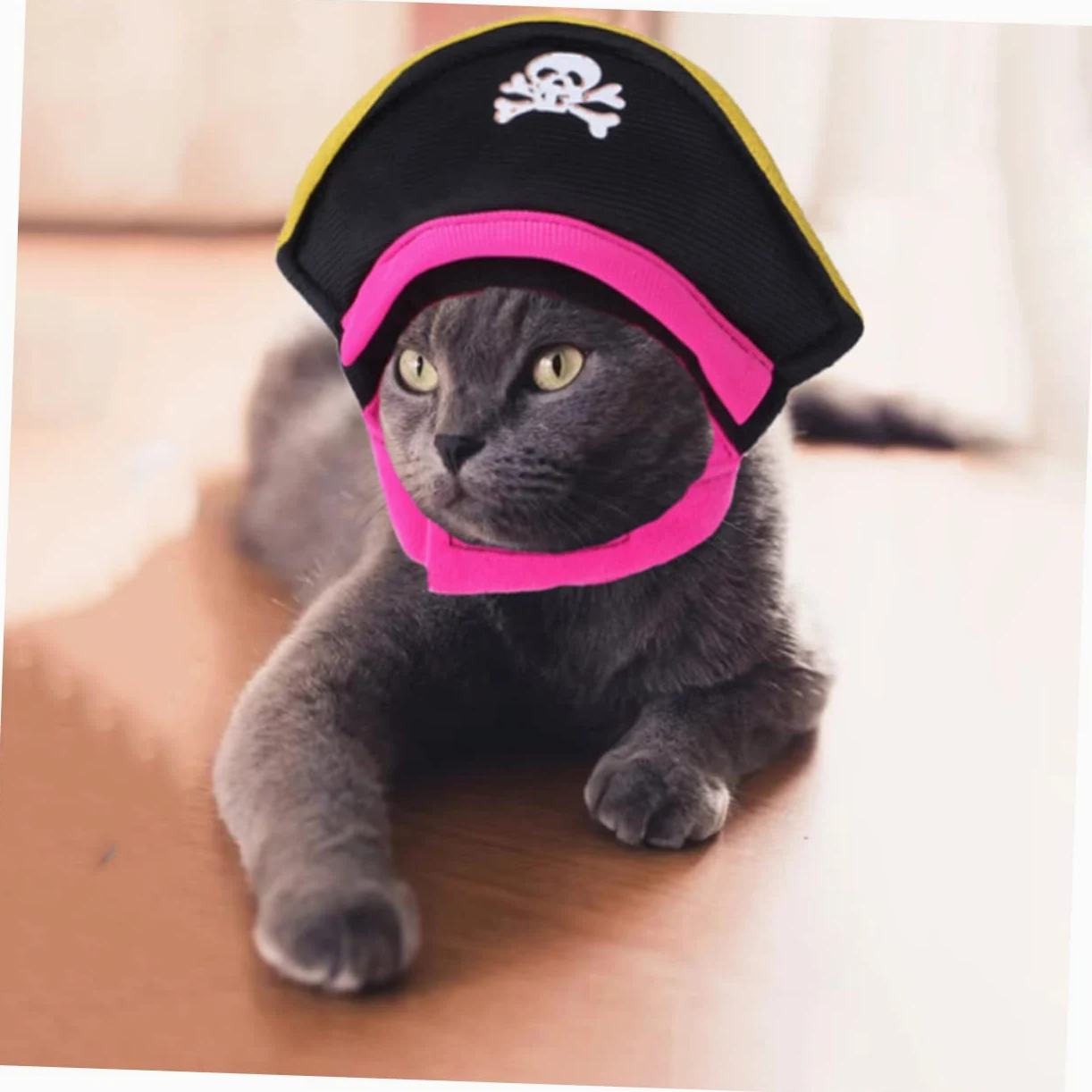 BESPORTBLE 5 Set Pet Costume Di Trasformazione Piccolo Cane Pigiama Costumi Del Cane Vestiti Del Gattino Bel Cappello Gatto Divertente Gatto Costumi Da Pirata Interessante Cappello