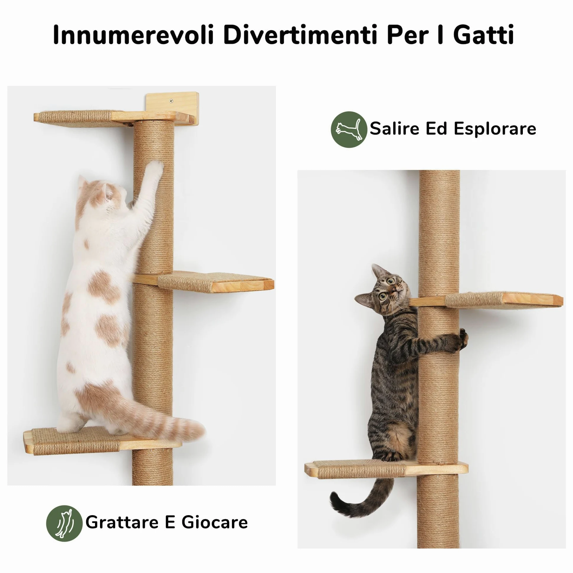 FUKUMARU Torre Tiragraffi per Gatti Alto (205CM), Mensola da Parete a 5 Livelli, Legno Massiccio e Iuta, Gradini per Arrampicare, Graffiare, Giocare