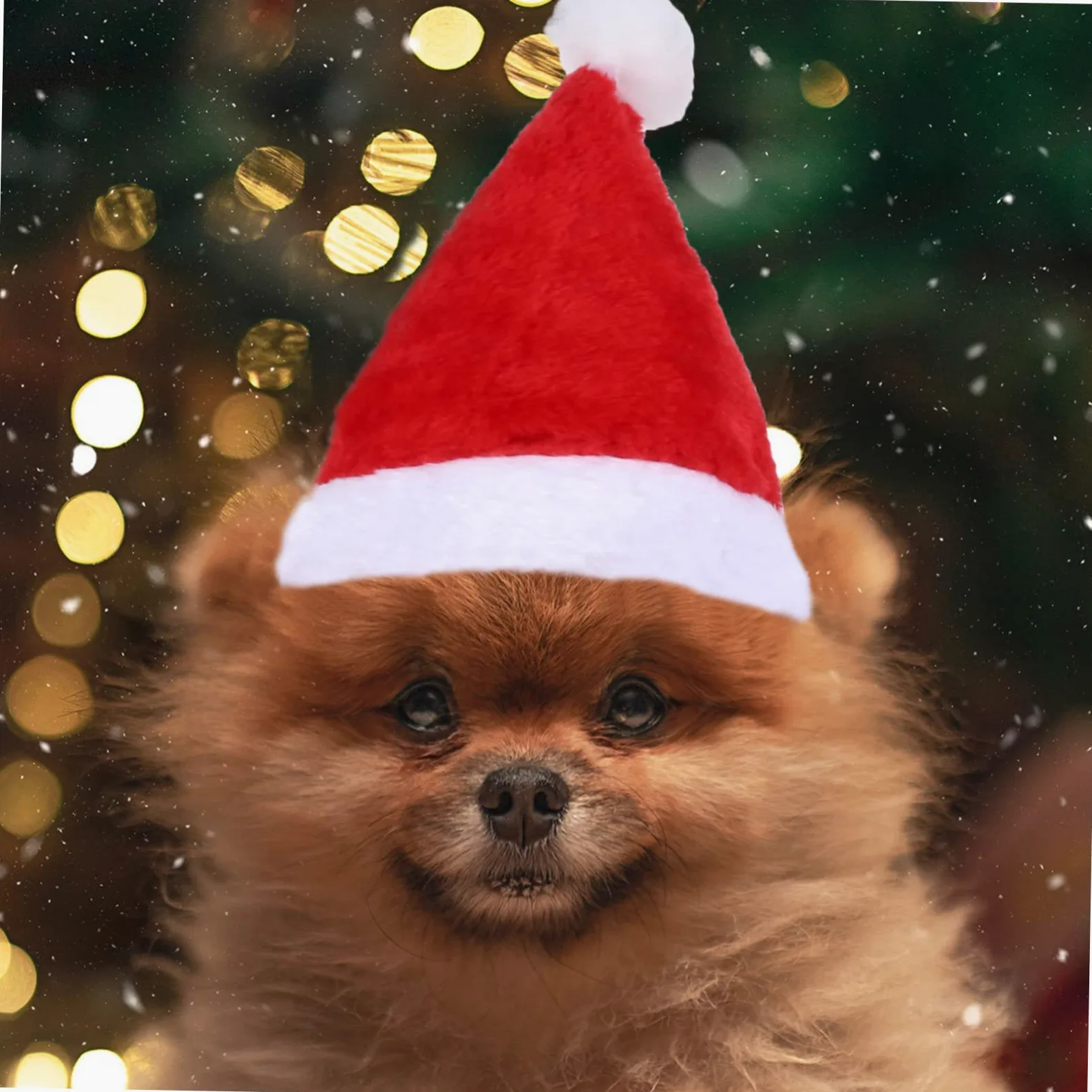BESPORTBLE 3 Set Adorabile Maglione Per Animali Domestici Costume Di Natale Per Cani Maglione Renna Con Cappello Abbigliamento Per Animali Domestici 2 Pezzi * 3