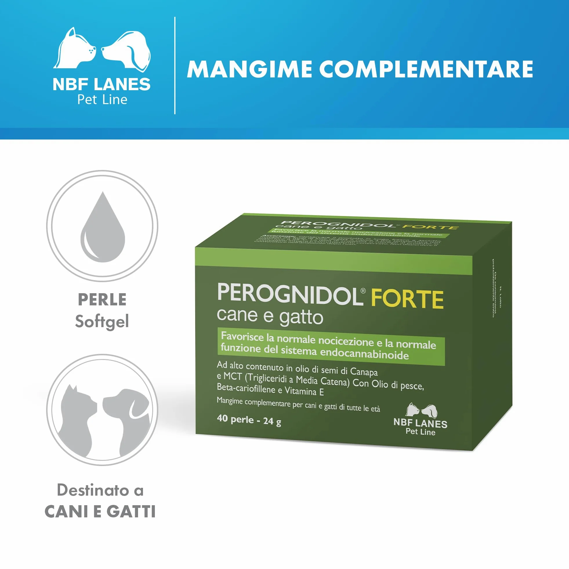 NBF Lanes | Perognidol FORTE Cane e Gatto, 40 perle, Favorisce la Normale Nocicezione e la Normale Funzione del Sistema Endocannabinoide