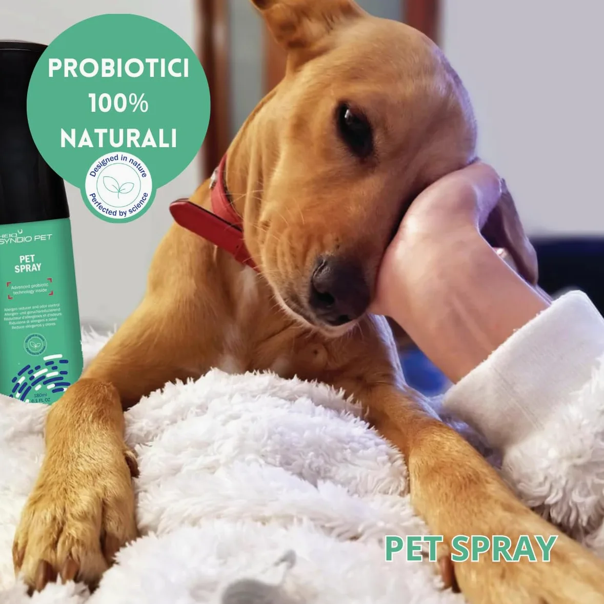 Pet Spray - Probiotico, elimina allergeni e odori dagli Animali Domestici. Conf. 180 ml.