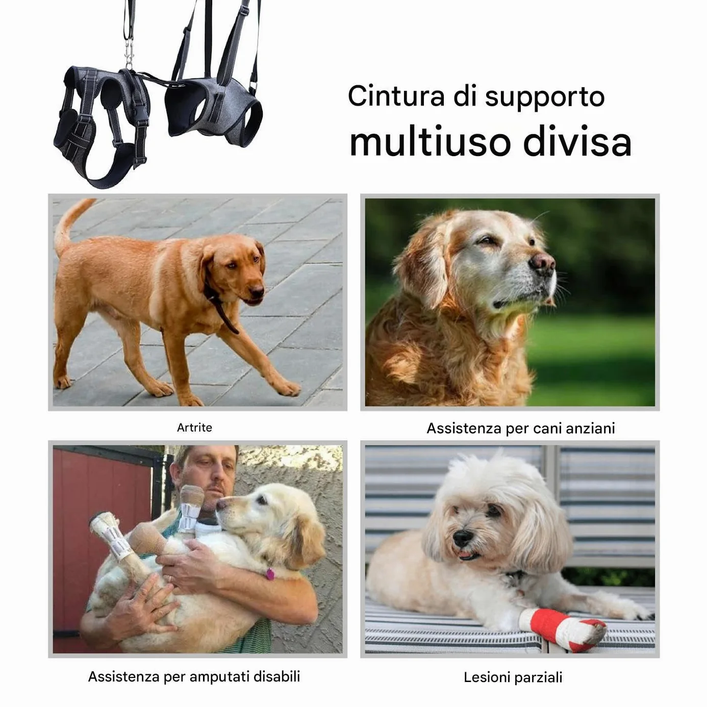 Imbracatura di Sollevamento per Cani Cinghie A Imbracatura Regolabili | Gilet assistenza mobilità cani con maniglia Cinghie per Recupero Addestramento Riabilitazione Cani Anziani Disabili Feriti