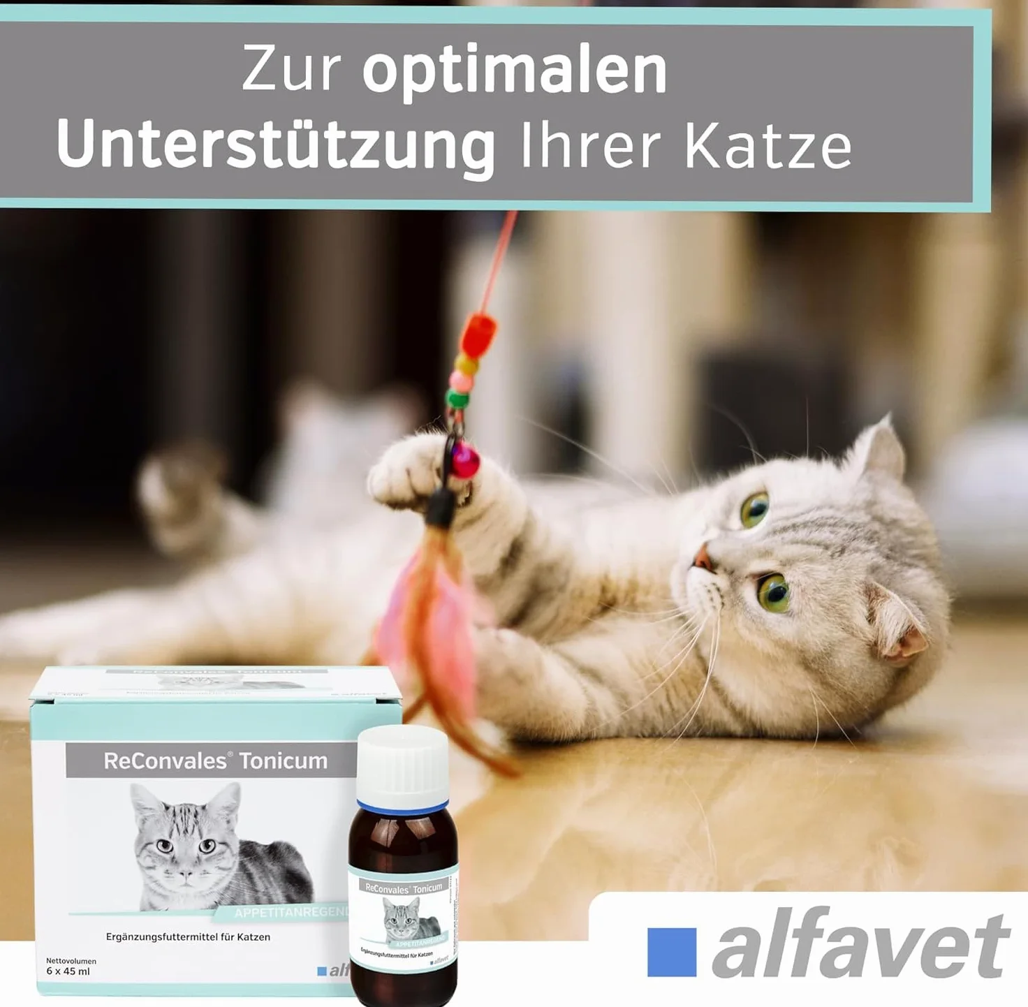 Alfavet ReConvales Tonicum Gatto (6 x 45 ml) – Mangime complementare liquido ad alta energia per gatti – con nutrienti selezionati, elevata appetibilità