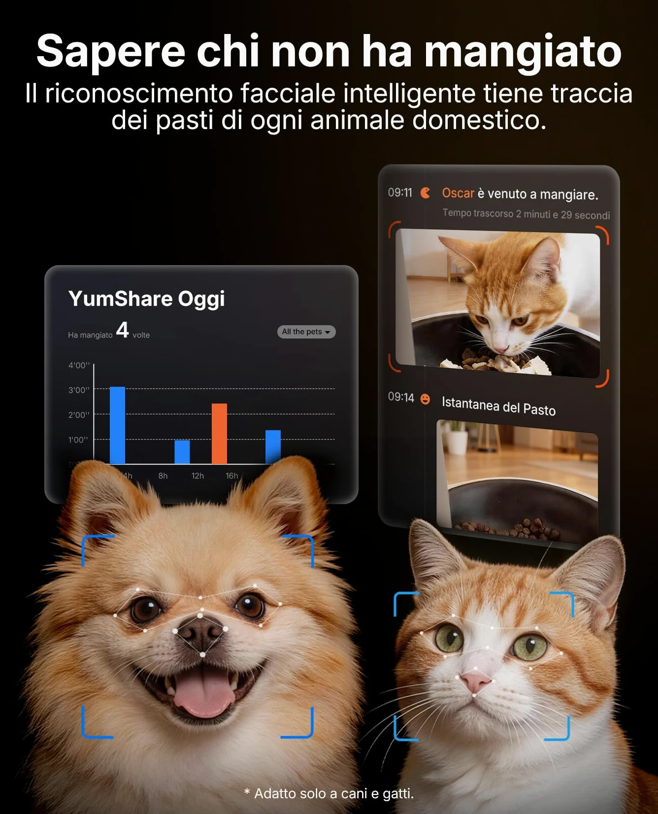 PETKIT YumShare Solo 2 Distributore Automatico di Cibo per Gatti con Telecamera HD 1080p, Riconoscimento Multiplo Gatti, Funzioni AI, Wi-Fi 2.4/5 GHz, Capacità 3L, Ciotola in Acciaio Inossidabile