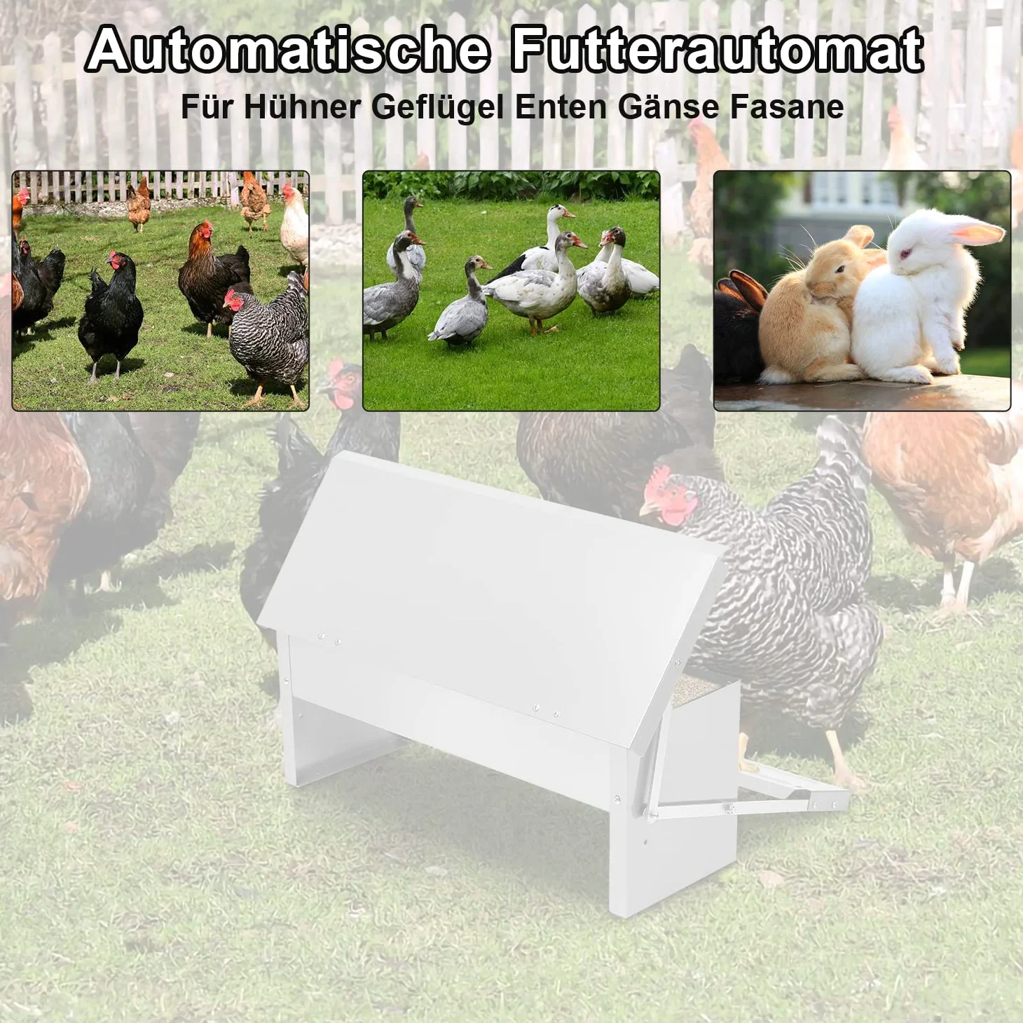 Randaco Mangiatoia automatica per polli in acciaio zincato, 5 kg, con pedale automatico e coperta impermeabile, cibo per pollame, impermeabile e a prova di topi