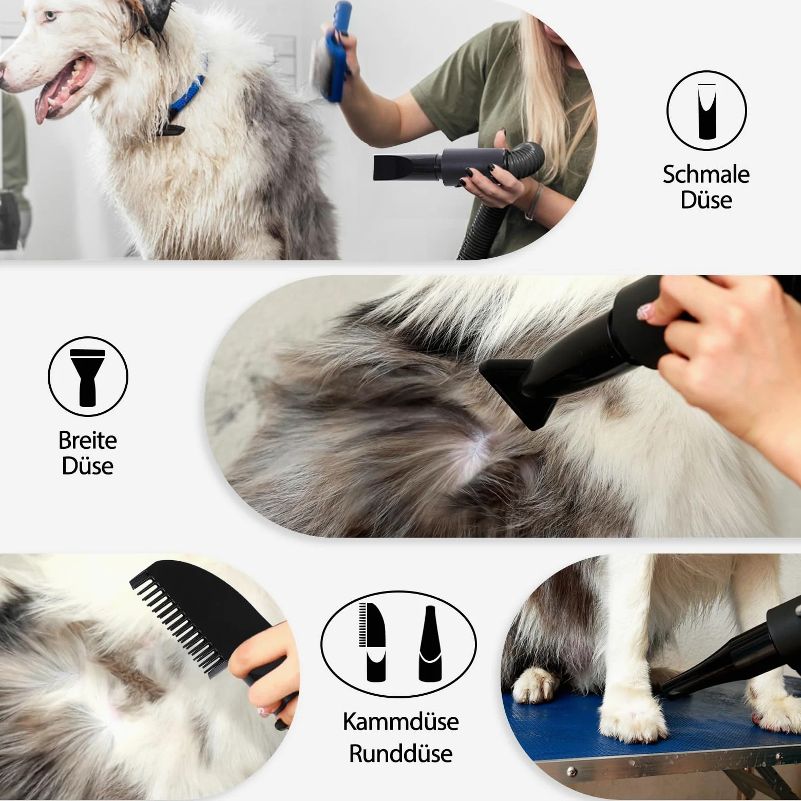 Soffiatore per Cani 3000W Blower Molto Silenzioso velocità Regolabile, Ventilatore per la Cura del Cane con 4 Diversi ugelli e Tubo Elastico