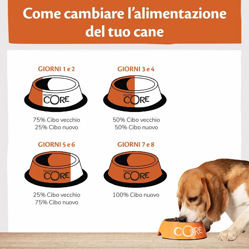 Wellness CORE Low Fat 10 kg, Tacchino – Crocchette Per Cani | Cibo Secco Per Cani Medi & Grandi, Senza cereali, Naturale, Ipoallergenico, Ricco di Proteine e Carne, Per un Peso Ideale