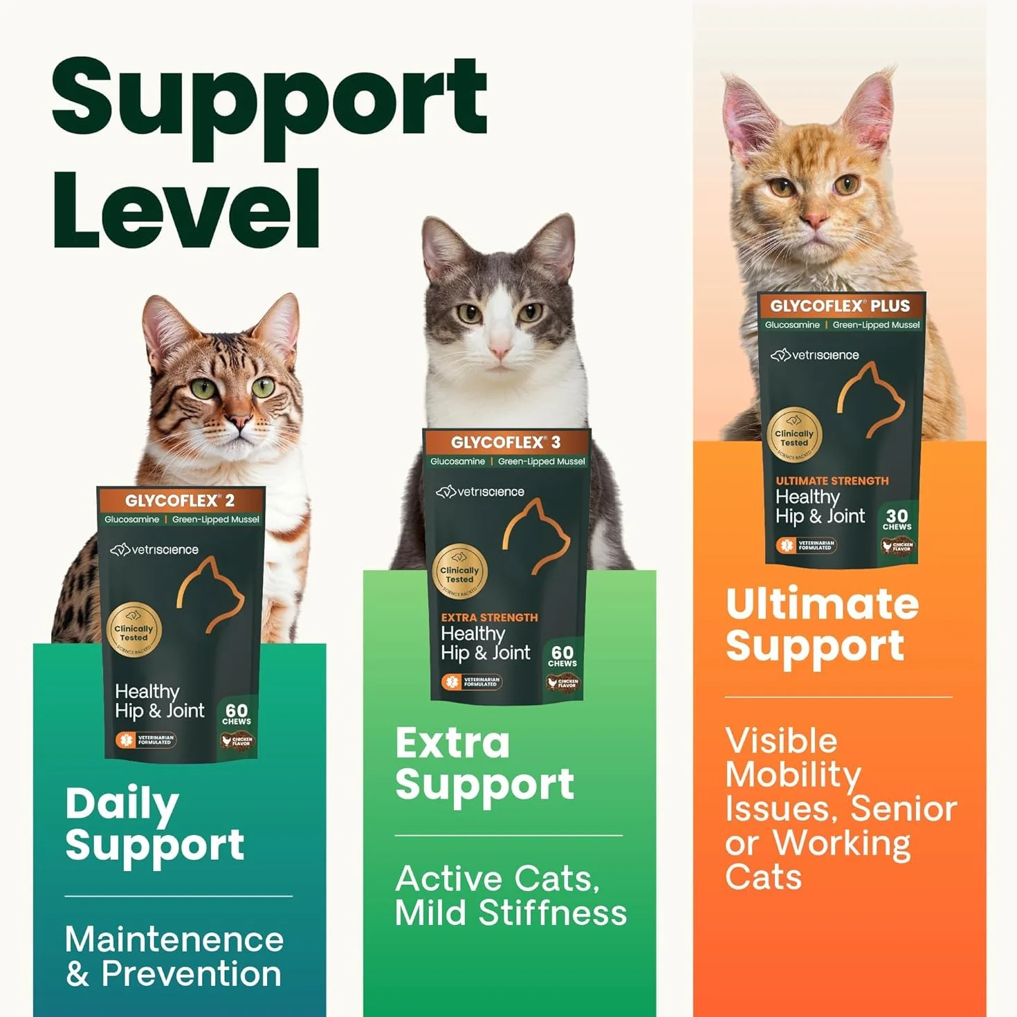 Vetri-Science Laboratories Glyco Flex 3 Anca e Giunti supplemento per Gatti, Bite Sized Chews